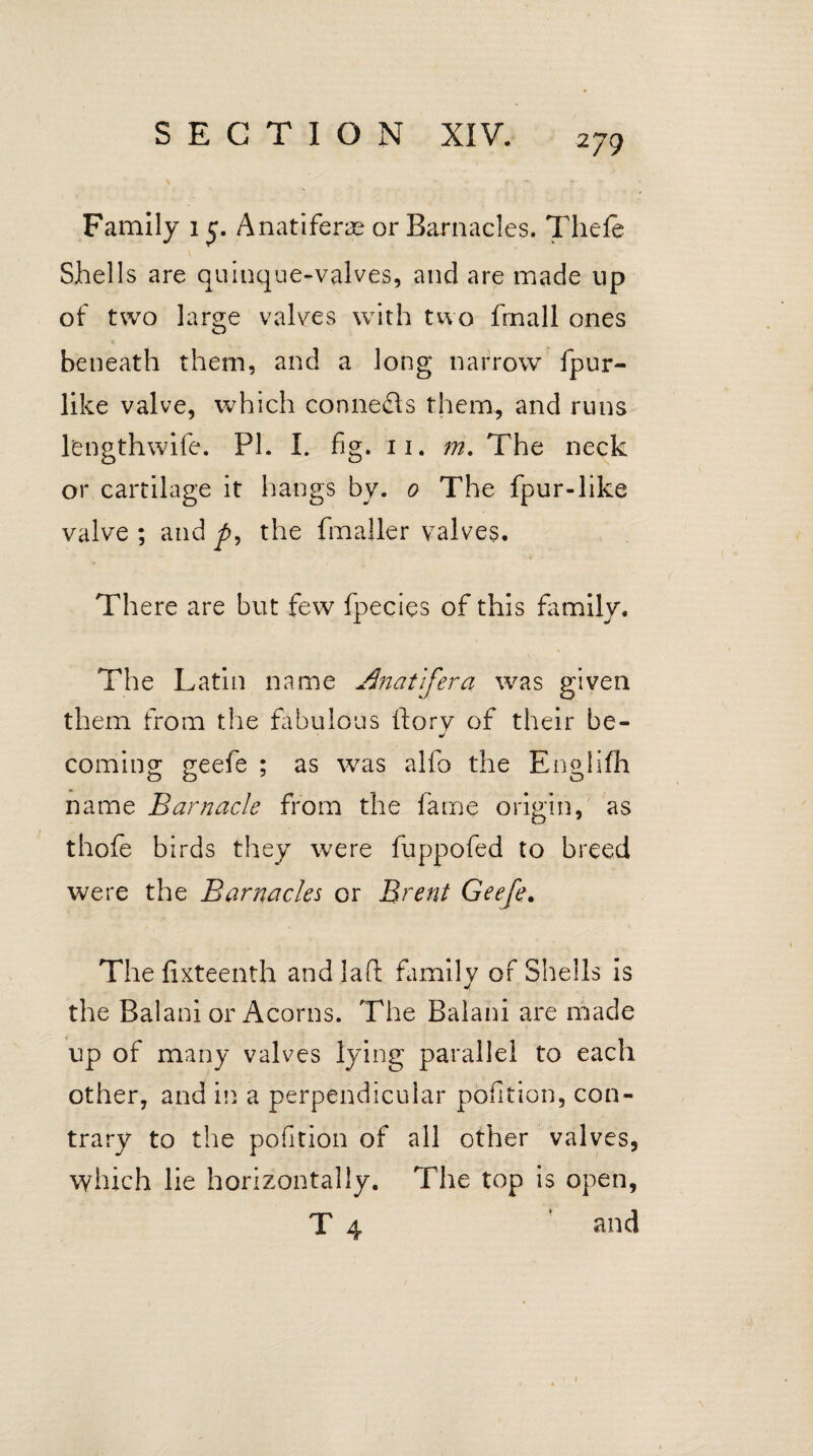 Family i £. Anatiferae or Barnacles. Thele Shells are quinque-valves, and are made up of two large valves with two frnall ones beneath them, and a long narrow fpur- like valve, which conne&s them, and runs lengthwife. PL I. fig. n. m. The neck or cartilage it hangs by. o The fpur-like valve; and p, the fmaller valves. There are but few fpecies of this family. The Latin name Anatlfera was given them from the fabulous ftory of their be- * coming geefe ; as was alfo the Englifh name Barnacle from the lame origin, as thofe birds they were fuppofed to breed were the Barnacles or Brent Geefe. The fixteenth and laft family of Shells is the Balani or Acorns. The Balani are made up of many valves lying parallel to each other, and in a perpendicular pofition, con¬ trary to the pofition of all other valves, which lie horizontally. The top is open, T 4 ‘ and f