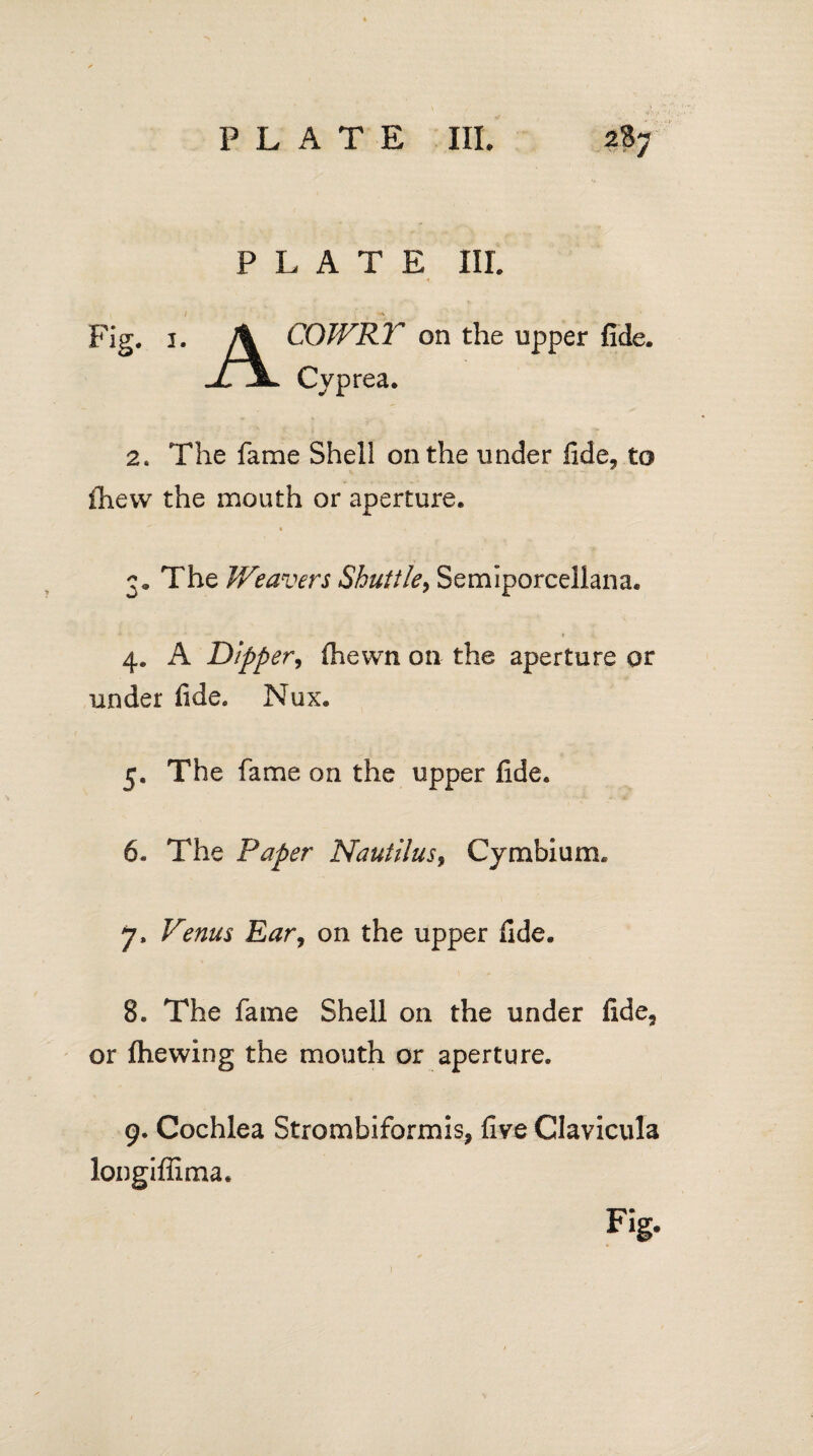 PLATE III. Fig. 3. \ COWRY on the upper fide. jfJL Cyprea. 2. The fame Shell on the under fide* to ihevv the mouth or aperture. 3. The Weavers Shuttle, Semiporcellana. . , » 4. A Dipper, (hewn on the aperture or under fide. Nux. 5. The fame on the upper fide. 6. The Paper Nautilus9 Cymbium. 7. Venus Ear, on the upper fide. 8. The fame Shell on the under fide* or (hewing the mouth or aperture. 9. Cochlea Strombiformis* five Clavicula longiffima.