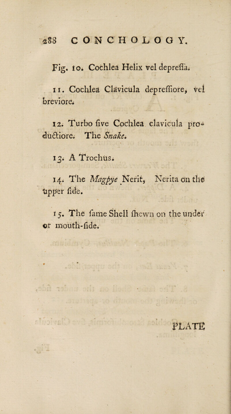 Fig* iOi Cochlea Helix vel deprelia. * i 11. Cochlea Ckvicula depreffiore, tel brevlore* 12. Turbo five Cochlea clavleula pro® duct lore. The Snake• V ^ • ■ * 13^ A TrochtiSi 14. The Magpye Nerit5 Nerita on the tipper fide. t i 5. The fame Shell fhevvn on the under --.* / \ or mouth-fide*