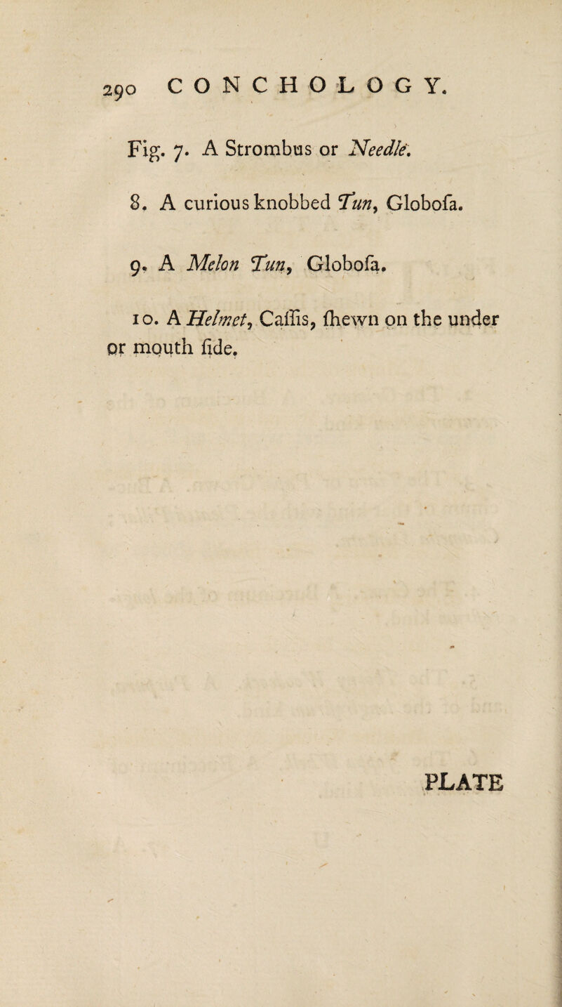 Fig. 7. A Strombus or Needle. 8, A curious knobbed Tun^ Globofa. 9, A Melon Tun, Globofa. 10, A Helmet, Caffis? fhewn on the under or mouth fide.