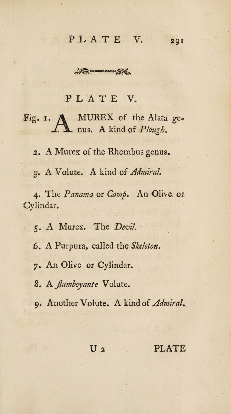 ^^^p^coesoooooooacaM^^^ PLATE V. Fig. i. y^k MUREX of the Alata ge« .jlJL nus. A kind of Plough. 2. A Murex of the Rhombus genus* 3. A Volute. A kind of Admiral. 4. The Panama or Camp. An Olive or Cylindar. 5. A Murex. The Devil. 6. A Purpura, called the Skeleton, 7. An Olive or Cylindar. 8. A Jlamhoyante Volute. 9. Another Volute. A kind of Admirah