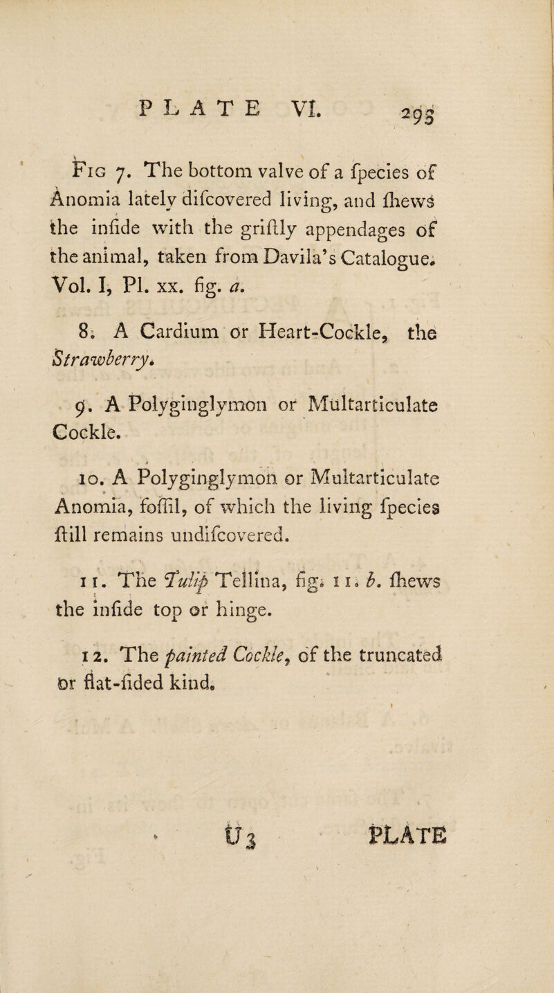 -93 1 j Fig 7. The bottom valve of a fpecies of Anomia lately difcovered living, and fliews the infide with the griftly appendages of the animal, taken from Davila’s Catalogue, Vol. I, PI. XX. fig. a, 8. A Cardium or Heart-Cockle, the Strawberry. 9. A Polyginglymon or Multarticulate Cockle. * y. f , 10. A Polyginglymon or Multarticulate 1 * Anomia, foffil, of which the living fpecies fUll remains undifcovered. 11. The tfulip Tellina, fig* 11* b. fliews the infide top or hinge. 12. The painted Cockle, of the truncated Or flat-fided kind.