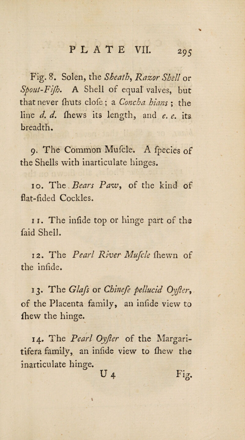 Fig. 8. Solen, the Sheath, Razor Shell or Spout-Fijh. A Shell of equal valves, but that never fhuts clofe; a Concha hians ; the line d. d. fhews its length, and e. e. its breadth. 9. The Common Mufcle. A fpecies of the Shells with inarticulate hinges. 10. The Bears Paw, of the kind of flat-fided Cockles. 11. The infide top or hinge part of the faid Shell. 12. The Pearl River Mufcle fhewn of the infide. 13. The Glafs or Chinefe pellucid Qyfter, of the Placenta family, an infide view to fhew the hinge. 14. The Pearl Oyjler of the Margarl- tifera family, an infide view to fliew the inarticulate hinge. U 4 Fig.