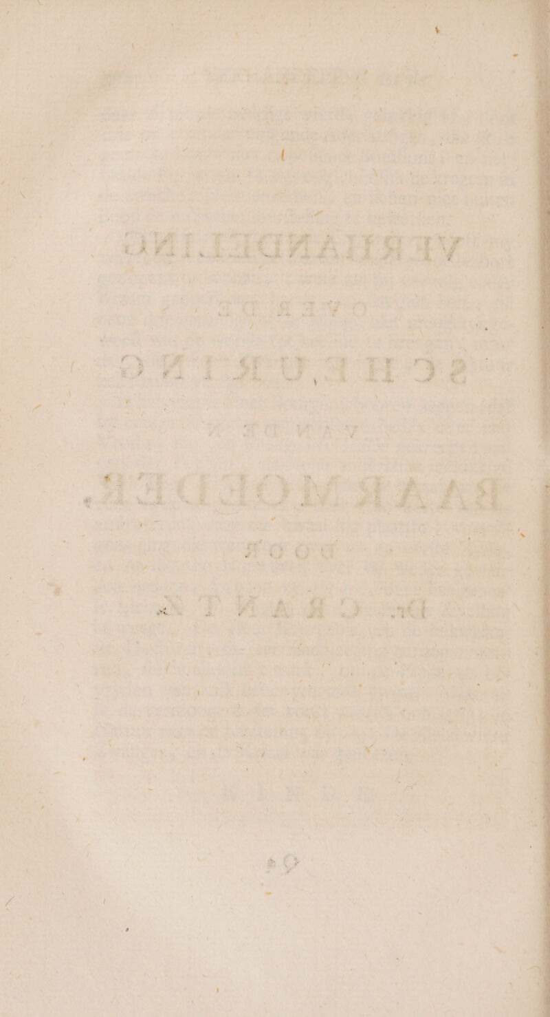 7 i el + + d ww u ei eN ß ar a pake as a MEU