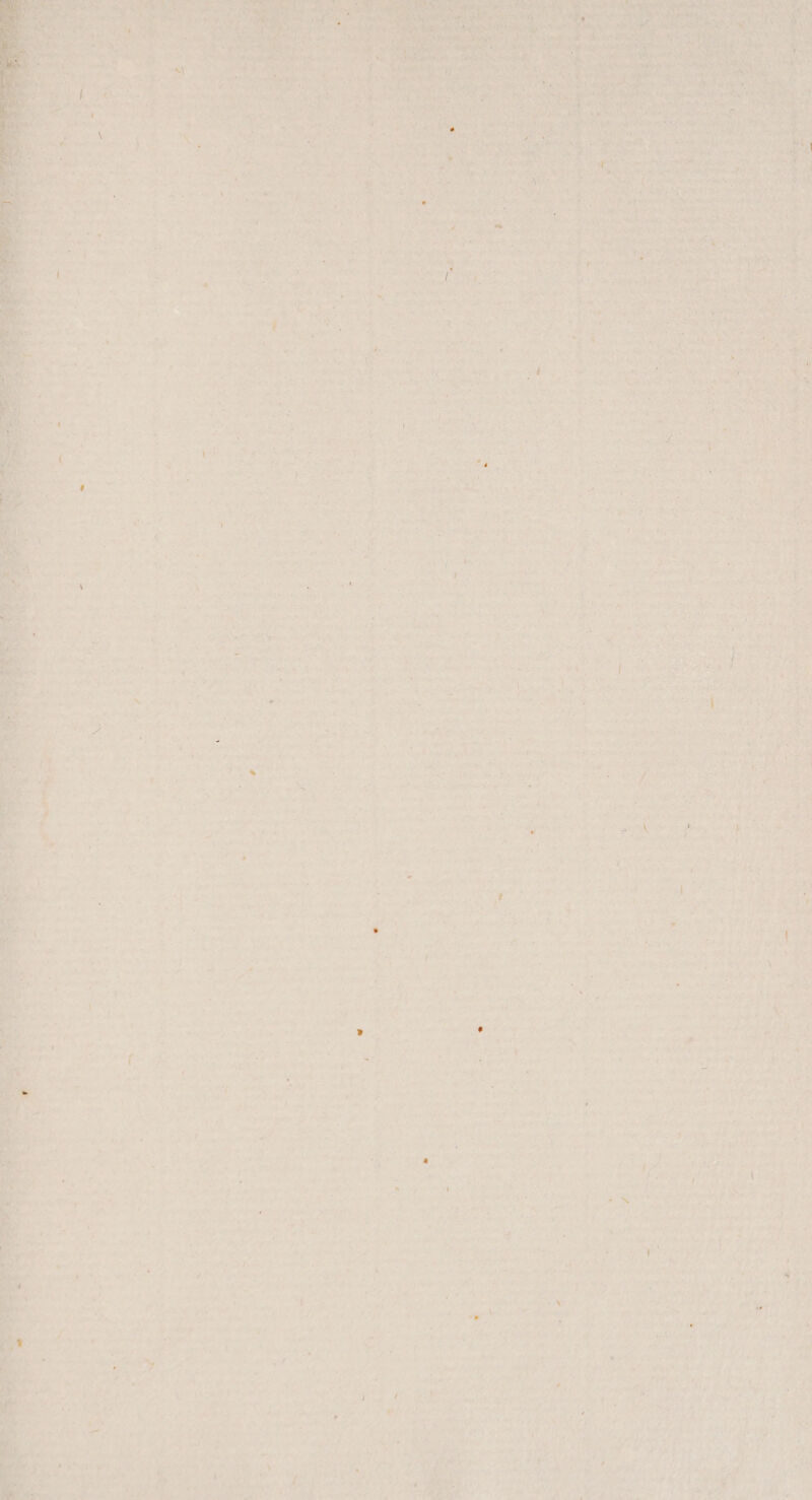 N Tr RN = Aike > fe are es re 5 fi r ri FERN er Du RL