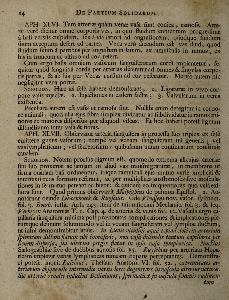 H APH. XLVI. Tam arteriae qu£m venae vafa funt conica , ramofa. Arte¬ ria vero dicitur omne corporis vas, in quo fluidum contentum progreditur a ball versus cufpidem, feu a via latiori ad anguftiorem, quodque fluidum fiium acceptum defert ad partes. Vena vero dicendum eft vas illud, quod fluidum fuum a partibus per anguftum in latum, exramufculis in ramos, ex his in truncum ac ultimo ad cor refert. Cum ergo balis omnium vaforum fanguiferorum cordi implantetur , fe- quitur quod fanguisa corde per arterias deferatur ad omnes & lingulas corpo¬ ris partes, & ab his per Venas rurfum ad cor referatur. Merito autem hic negligitur vena portae. Sciiolion. Haec ita fefe habere demonftrant, i. Ligaturae in vivo cor¬ pore vafis injeftae. 2. Injectiones in eadem faftae ; 3. Valvularum in venis exiftentia. Peculiare autem eft vafis ut ramofa fint. Nullibi enim detegitur in corpo¬ re animali, quod ulla ejus fibra fimplex dividatur ac fiibdividatur in ramos mi¬ nores ac minores difperfos per aliquod vifcus. Et hoc haberi poteft lignum diftin&ivum inter vafa & fibras. APH. XLVII. Obfervatur arteria, fanguifera in proceflu fuo triplex ex fele emittere genus vaforum; nempe vel venam fanguiferam fui generis ; vel vas lymphaticum ; vel fecretorium : quibufeum unum continuatum conftituit canalem. Scholxon. Notatu prorfiis dignum eft, quomodo extrema alicujus arteriae fini fuo proximae ac jamjam in aliud vas tranfmigraturae , in membrana ut firma quadam bafi ordinentur, ibique ramufculi ejus mutuo varie impliciti & intertexti retis formam referant, ac per multiplices anaftomofes five inofcula- tiones in fe mutuo pateant ac hient: & quidem eo frequentiores quo vafa exi¬ liora funt. Quod primus obfervavit Malpighius de pulmon Epiftol. 2. An¬ notarunt deinde Leewenboeck & Ruyfcius. Vide Fieujfens nov. vafor. fyfthem. fol. 3. Boerb. inftit. Aph. 243. item de ufii ratiocinii Mechanic. fol. 9. & feq. Verheyen Anatomiae T. 1. Cap. 4. de arteriis & venis fol. 12. Vafcula ergo ca¬ pillaria fanguifera minima poft praenotatas complicationes & implicationes ple¬ rumque delinunt folummodo vel in venam fanguiferam vel lymphae du£tum, ut infra demonftrabitur latius. In Lienis vitulini aqua tepida eloti, in arteriam fplenicam ditiam flatum abi immiferis, non vafa diftendit tantum capillaria per lienem difperfa, fed ulterius pergit flatus in ipfa vafa lymphatica. Nuckius Sialographiae five de du&ibus aquoiis fol. 8$. Ruyfchias per arteriam Hepa¬ ticam implevit venas lymphaticas tunicam hepatis perreptantes. Demonftra- ri poteft, inquit Rufcbius, Thefaur. Anatom. VI. fol. 52., extremitates ar¬ teriarum abfqne ullo intermedio variis locis degenerare in vafcula alterius natur ce* Sic arteria renales inductus Bellinianos-, fpermaticce in vafcula feminis rudimen- ' tum