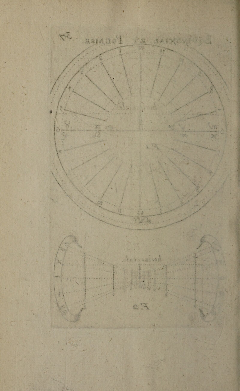 \ « . -i . • ; - Air. . -, I WJ y' y ■ % *v /r - - . / \ f y . ■ , * — . > h ■ \ . •. \ \ / / ' / \ (. /f, •S.. \ ■ ■ / ■■* \ * /X \ J V N • > - V ’*»»•» j ■ .* - •’ < ^ * >s i \ \ \ y Y • 7 ; > S. . >,-< r/ v * • '* y / . .y- ÿ- -/ 7 y i .■ \ ^ \ . i A. ; r :• y : i A, ■\ c ,v-.'