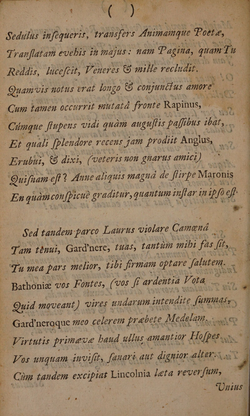Sedulus infequeris, yas Animamque Potte, ~ / Tranflatam evehis in chien nam Pagina, quam 3 it &gt; Quamuis notus erat longo S) conjunétus amore a ee a ee Erubii, &amp;6 dixt, (veteris non gnarus amici) Lin quam con ee graditur, quantum inflari in vip/i ft * 2 Sed tandem parco Laurus violare Camend pis re, F ; Tam sp Gardnere, tuas, tantivm mibi fas fi fits. he 4 “Tu mea pars melior, tibi jfirmam optare falutem. . . 4 ‘ ~ eh F Bathoniz vos Fontes, (wos fi f ardentia Vota cou al Quid moveant ‘) vires andar umn intendite furmnasy, Virtutis primes haud ullus amantion Holes... Vos unguam invifi ity, fanari aut dignior alters » xy Cum tandem excipiat Lincolnia /eta rever fim, ~ Vnaius | |