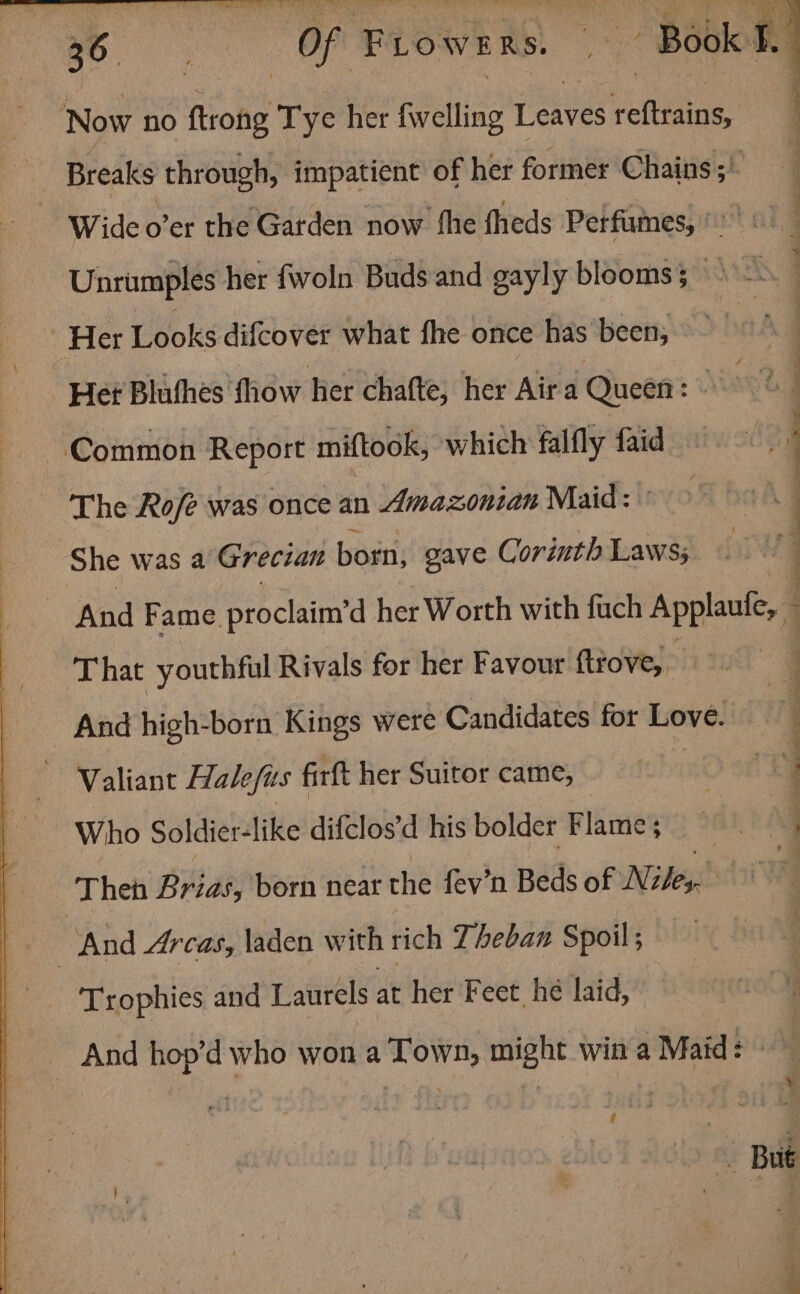 Now no ftrong Tye her {welling Leaves reftrains, Breaks through, impatient of her former Chains ;' Wideo’er the Garden now fhe fheds Perfumes, '* Unrimples her fwoln Buds and gayly blooms ; Ki Her Looks difcover what fhe once has been; Het Blufhes fhow hier chafte, her Aira Queen : Common Report miftook, which falfly faid tig : The Ro/é was once an Amazonian Maid: . She was a Grecian born, gave Corinth Laws; | And Fame. proclaim'd her Worth with fuch Applaute, | That youthful Rivals for her Favour firove, And high-born Kings were Candidates for Love. Valiant Halefus firft her Suitor came, Who Soldier-like difclos’d his bolder Flame; = “? 4 a : . 2 4 = i — . 7 a Se eee |) Then Brias, born near the fev’n Beds of Niles | _ And 4rcas, laden with rich Theban Spoil ; Trophies and Laurels at het Feet he laid, _ And hop’d who won a Town, might win a Maid: : But