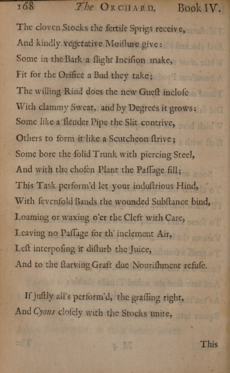 The OrcuAR ni i ~ Book Iv sa The ee Stocks the feitile Sprigs receiv e; seyghot And kindly. vegetative Moifture give : Some in the Bark a flight Incifion make, Fit for the Orifice a Bud they take; The willing Rind does the new Guett pialo&amp; . _ With clammy Sweat, and by Degreés it grows: Some like,a‘flender Pipe the Slit. contrive, Others to form it’like a Scutcheon ftrive; - Some bore the folid Trunk with piercing Steel, “And with the chofen Plant the Paflage fill; This Task perform’d let your induftrious Hind, - * With fevenfold Bands.the wounded Subftance bind, = Loaming or waxing o’er the Cleft with Care, Leaving no Paflage for th’ inclement Air, Left interpofing it difturb the Juice; _ And to the ftarving Graft due Nourifhment refufe. __ If jaftly ail’s perform’d, ‘the graffing right, — F i ' : SE Se ee er ‘ X%