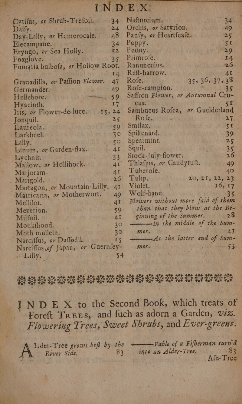 : Cytifas, or Shrub-Trefoil. Daify. | Day-Lilly, or Hemerocale. — Elecampane. -Eryngo, or Sea Holly. 52 Foxglove. cy 35 Fumaria bulbofa, or Hollow Root. 14 Granadilla, or Paflion Flower. 47 Germander. y 49 Hellebore. FD Hyacinth. 17 Iris, or Flower-de-luce. 155 24 Jonquil. . 25 Laureola. 59 Larkheel. 30 Lilly. . 50 Linum, or Garden- flax. AI Lychnis. 33 Mallow, or Hollihock. AL Marjoram. 41 _ Marigold. 26 _ Martagon, .or Mountain-Lilly. 41 Matricaria, or Motherwort. 49 Mellilot. at Mezerion. 59 Monktfhood. 30 Moth mullein. 30 ‘Narciffus, or Daffodil. 15 Narciffus.of Japan, or Guernfey- » Lilly. — 54 Tree. Nafturcium. 34 Orchis, or Satyrion. 49 Panfy, or Heartfeafe. 25 Poppy. st Peony. “29 Primrofe. 14 Ranunculus. 2.6 Reft-harrow. AL Rofe. 304305497295. Rofe-campion. ; a5 Saffron Flower, or Autumnal Cro- cus. gr Sambucus Rofea, or Guelderland Rofe. Se | Smilax. ie ape Spikenard. 39 Spearmint. 25 Squil. 35 Stock-July-flower. 26 ~ Thiafpis, or Candytuft. 49 T uberofe. 40 Tulip. LO Bly Bees Violet. 16, 17 W olf-bane. 5 Flowers without more faid of ne than that they blow at the Be- ginning of the Summer. 23. ln the middle of the Sum- mer. AT ——— At the latter end of Sum-. — mer. | 53 / Lder-Tree grows beft by the River Side. 83 - x —Fable of a Fifherman turn a | into an Alder-Tree. | 83. Ath-Tree