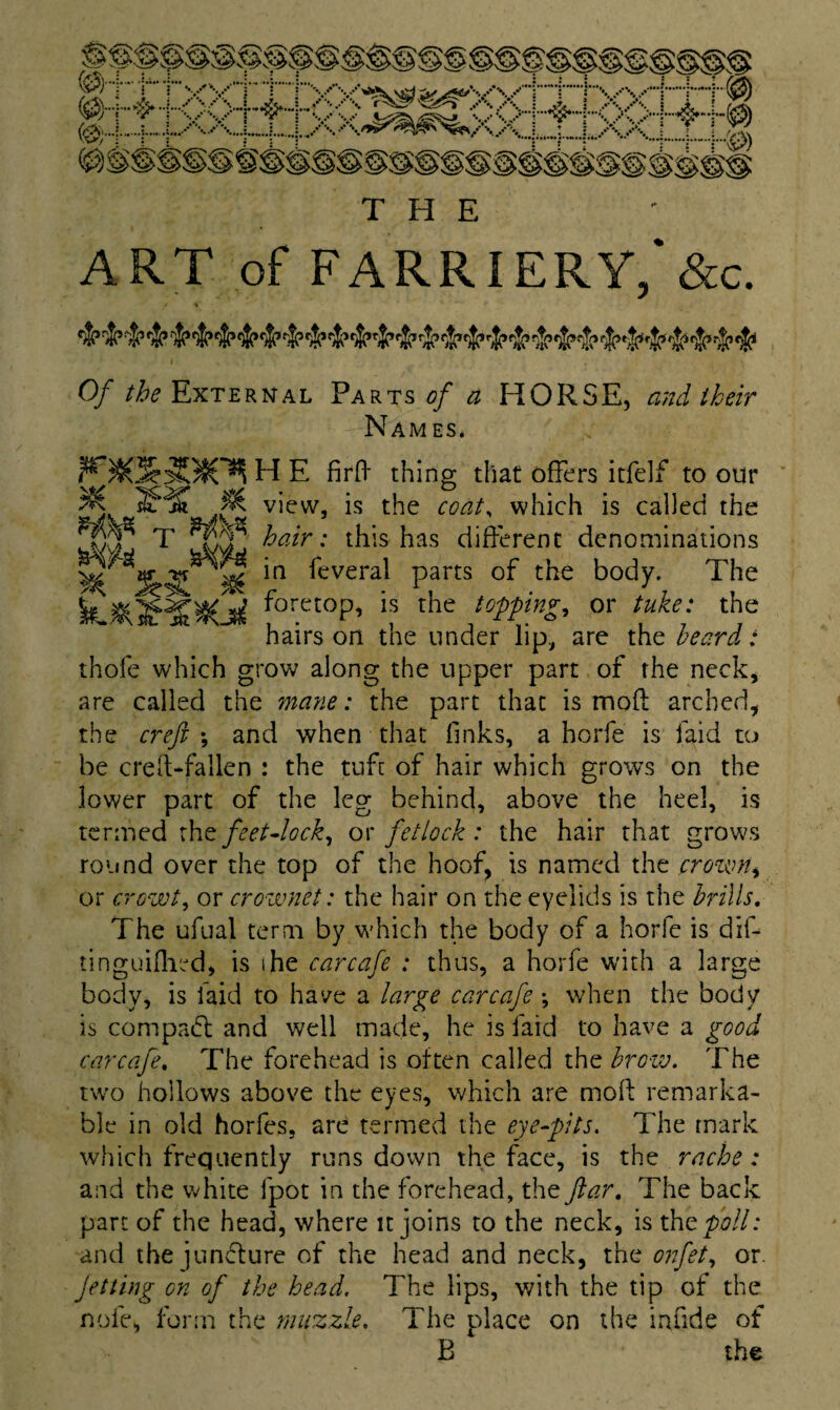 THE ART of FARRIERY,* &c. • > Of the External Parts of a HORSE, and their Names* H E fird thing that offers itfelf to our ^ view, is the coat, which is called the JXr T Tcf hair: this has different denominations 5 *n ^evera^ Parts °f c^e body. The thofe which grow along the upper part of the neck, are called the mane: the part that is mod arched, the creft *, and when that finks, a horfe is faid to be ere IT fallen : the tuft of hair which grows on the lower part of the leg behind, above the heel, is termed the feet-lock, or fetlock : the hair that grows round over the top of the hoof, is named the crown, or crowt, or crownet: the hair on the eyelids is the brills. The ufual term by which the body of a horfe is dif- tinguifhed, is ihe carcafe : thus, a horfe with a large body, is faid to have a large carcafe *, when the body is compact and well made, he is laid to have a good carcafe, The forehead is often called the brow. The two hollows above the eyes, which are mod remarka¬ ble in old horfes, are termed the eye-pits. The mark which frequently runs down the face, is the rache: and the white fpot in the forehead, the far. The back part of the head, where it joins to the neck, is thcpoll: and the juncture of the head and neck, the orfet, or. jetting on of the head. The lips, with the tip of the nofe, form the muzzle. The place on the infide of B the foretop, is the hairs on the under iip topping, or tube: the are the beard: