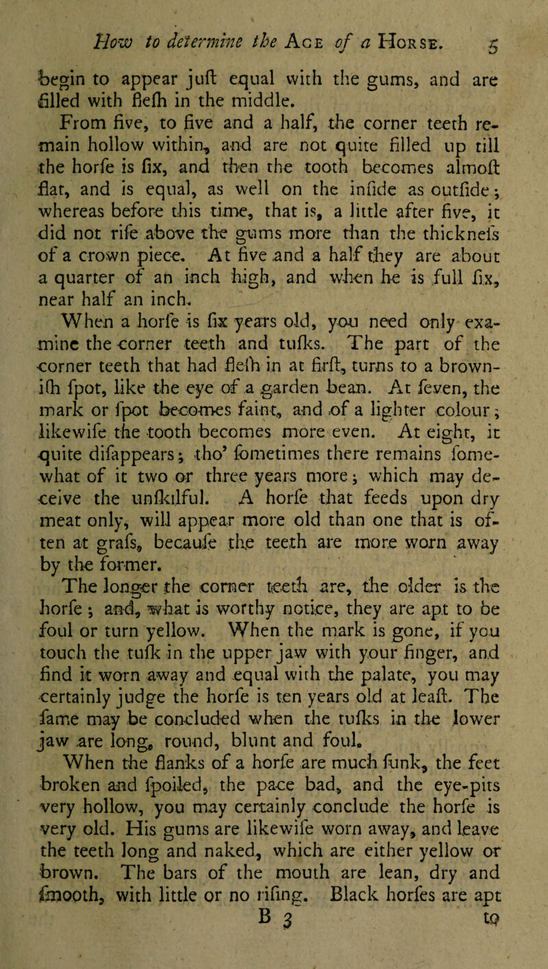 begin to appear juft equal with the gums, and are filled with fielh in the middle. From five, to five and a half, the corner teeth re¬ main hollow within, and are not quite filled up till the horfe is fix, and then the tooth becomes almoft flat, and is equal, as well on the infide as outfide *, whereas before this time, that is, a little after five, it did not rife above the gums more than the thickneis of a crown piece. At five and a half they are about a quarter of an inch high, and when he is full fix, near half an inch. When a horfe is fix years old, you need only exa¬ mine the corner teeth and tufks. The part of the corner teeth that had fielh in at firft, turns to a brown- ifh fpot, like the eye of a garden bean. At feven, the mark or fpot becomes faint, and of a lighter colour; like wife the tooth becomes more even. At eight, it quite difappears; tho’ fometimes there remains fome- what of it two or three years more; which may de¬ ceive the unfkilful. A horfe that feeds upon dry meat only, will appear more old than one that is of¬ ten at grafs, becaufe the teeth are more worn away by the former. The longer the corner teeth are, the older is the horfe ; and, what is worthy notice, they are apt to be foul or turn yellow. When the mark is gone, if you touch the tufk in the upper jaw with your finger, and find it worn away and equal with the palate, you may certainly judge the horfe is ten years old at leafi. The fame may be concluded when the tufks in the lower jaw .are long, round, blunt and foul. When the flanks of a horfe are much funk, the feet broken and fpoiled, the pace bad, and the eye-pits very hollow, you may certainly conclude the horfe is very old. His gums are likewife worn away, and leave the teeth long and naked, which are either yellow or brown. The bars of the mouth are lean, dry and fcooth, with little or no rifing. Black horfes are apt B 3 t Q