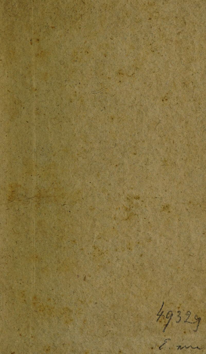 v \ 1/ J ' . f *  Y -, V; '.,*** * * * ’i «• X : ■ V • v- • -, * •' '■ viya\ V* ' 'i ,4 • ?r '>■ t • s-, ..Y' -