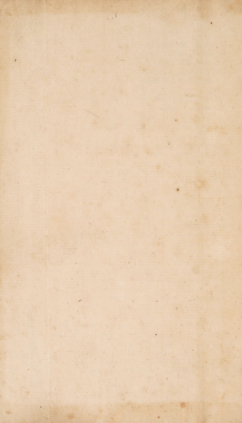 ••1 ■ • n \ ( \ v i •