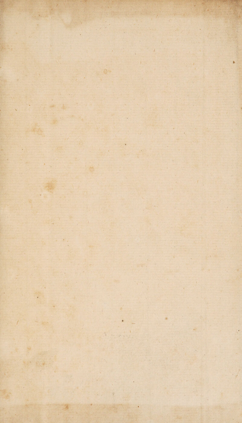 \ . / • i \ I \ f \ \ t { I *