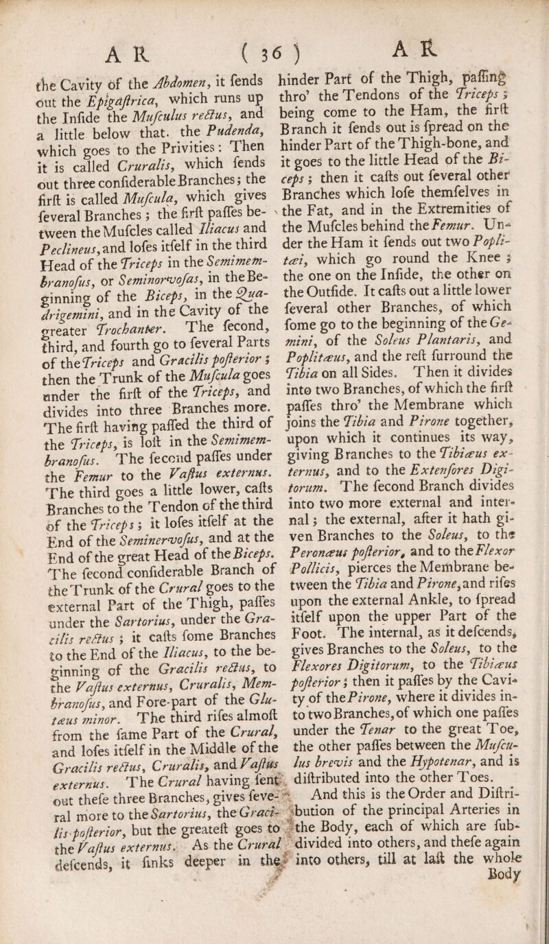 A H die Cavity of the Abdomen, it fends hinder Part of the Thigh, jpaffing out the Fpigaftrica, which runs up thro’ the Tendons of the Triceps} the Infide the Mnfculus ream, and being come to the Ham, the firft a little below that, the Pudenda, Branch it fends out is fpread on the which goes to the Privities: Then hinder Part of the Thigh-bone, and it is called Cruralis, which fends it goes to the little Head of the Bi out threeconfiderableBranches; the ceps; then it calls out feveral other firll is called Mufatla, which gives Branches which lofe themfelves m feveral Branches; the firll paffes be- - the Fat and in the Extremities of tween the Mufcles called lliacui and the Mufcles behind the Femur. U n- Pedineus, and lofes itfelf in the third der the Ham it fends out two,Pepl,- Head of the Triceps in the Semimem- tcei, which go round the knee; branofus, or Semimrvofas, in theBe- the one on the Infide, the other on Sinning of the Biceps, in the %ua- the Outfide. It calls out a little lower Jrhemini, and in the Cavity of the feveral other Branches, of which greater Trochanter. The fecond, feme go to the beginning of the Ge- third and fourth go to feveral Parts mini, of the Soleus Plantans, and of the Triceps andGracilis pofterior; Poplitasus, and the reft furround the then the Trunk of the Mufcula goes Tibia on all Sides. Then it divides wnder the firft of the Triceps, and into two Branches, of which the firit divides into three Branches more, paffes thro’ the Membrane which The firft having paffed the third of joins the Tibia and Pirons together, the Triceps is loft in the Semimem- upon which it continues its way, branofus The fecond paffes under giving Branches to the Tibiaus ex~ the Femur to the Vaftus ext emus, ternus, and to the Extenfores Digi- The third goes a little lower, calls torum. The fecond Branch divides Branches to the Tendon of the third into two more external and inter- of the Triceps; it lofes itfelf at the nal; the external, after it hath gi- End of the Seminervofus, and at the ven Branches to the Soleus, to th* End of the great Head of the Biceps. Peronaus pofterior, and to the Flexor The fecond confiderable Branch of Pollicis, pierces the Membrane be- the Trunk of the Crural goes to the tween the Tibia and Fir one, and rifes external Part of the Thigh, paffes upon the external Ankle, to fpread under the Sartorius, under the Gra- itfelf upon the upper Part of the eilis reaus ; it cafts fome Branches Foot. The internal, as it defeends, to the End of the Iliacus, to the be- gives Branches to the Soleus, to the winning of the Gracilis reaus, to Flexores Digitorum, to the Tibueus the Vafius ext emus, Cruralis, Mem- pofterior} then it paffes by theCayi- branofus, and Fore-part of the Glu- ty of thePirone, where it divides in- tceus minor The third rifes almoft to two Branches, of which one paffes from the fame Part of the Crural, under the Tenar to the great Toe, and lofes itfelf in the Middle of the the other paffes between the Mufcu- Gracilis reaus, Cruralis, and Vaft us lus brevis and the Hypotenar, and is ext emus. The Crural having l'ent diftributed into the other Toes, out thefe three Branches, gives feve-  And this is the Order and Diftn- ral more to the Sartorius, theGraci- bution of the principal Arteiies in Us pofterior, but the greateft goes to the Body, each of which are fub- the Vaftus externus. As the Crural divided into others, and thefe again Wcends it finks deeper in the.- into others, till at laft the whole Body