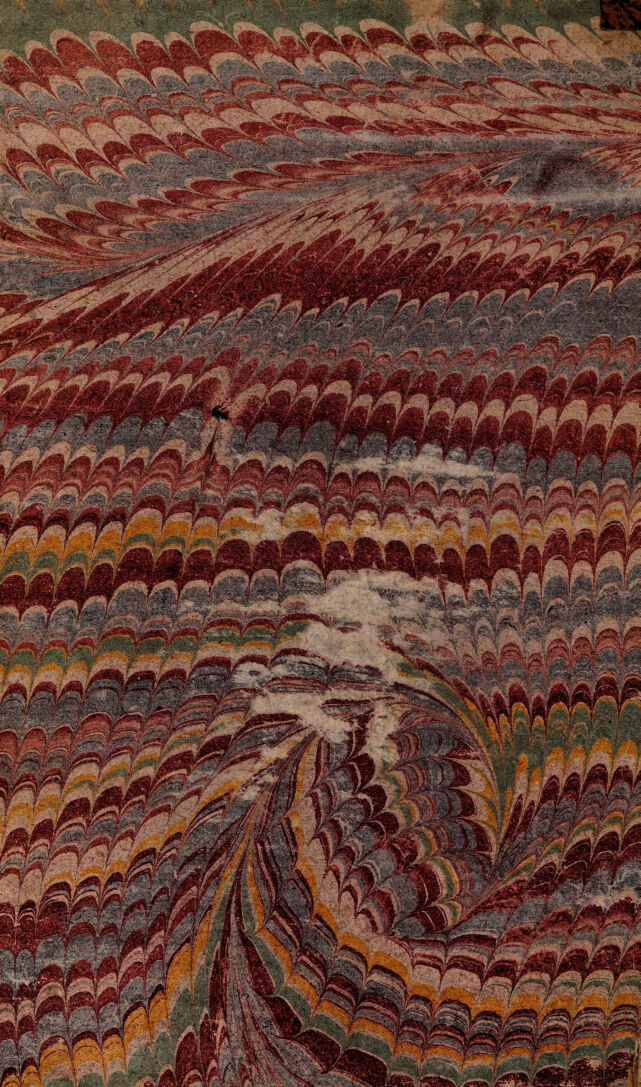 digitised image 2