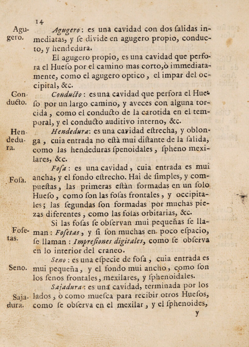Agu- gero. Con¬ dueño. Hen¬ dedu¬ ra. Fofa. * • Fofe- tas. Seno. Saja¬ dura. Agu gero: es una cavidad con dos falidas in¬ mediatas, y fe divide en agugero propio, conduc¬ to, y hendedura. El agugero propio, es una cavidad que perfo¬ ra el Hueíb por el camino mas corto,6 immediata- mente, como el agugero optico, el impar del oc¬ cipital, &c. Conducto : es una cavidad que perfora el Hue*» fo por un largo camino, y aveces con alguna tor¬ cida , como el condudo de la carótida en el tem¬ poral, y el condudo auditivo interno, &c. Hendedura: es una cavidad eftrecha, y oblon¬ ga y cuia entrada no eítá mui diñante de la falida, como las hendeduras fpenoidales, fpheno mexi- lares, &c. Fofa: es una cavidad, cuia entrada es muí ancha, y el fondo eftrecho. Hai de (Imples, y com¬ puertas , las primeras eftán formadas en un folo Huefo, como fon las fofas frontales, y occipita¬ les ; las fegundas fon formadas por muchas pie¬ zas diferentes, como las folas orbitarias, &c. Si las fofas fe obfervan mui pequeñas fe lla¬ man : Fofetas, y (i fon muchas em poco efpacio, fe llaman : Impr ejiones digitales y como fe obíerva en lo interior del cráneo. Seno : es una efpecie de fofa , cuia entrada es mui pequeña, y el fondo mui ancho, como fon los fenos frontales, mexilares, y fphenoidales. Sajadura : es uná cavidad, terminada por los lados, ó como muefea para recibir otros Huefos, como fe obferva en el mexilar, y el fphenoides,