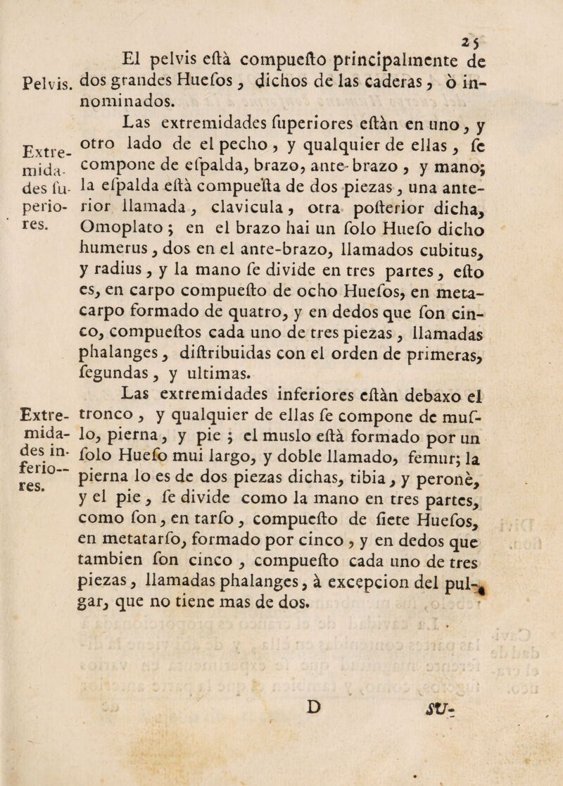 Pelvis. Extre¬ mida¬ des íu- perio- res. Extre¬ mida¬ des in¬ ferio¬ res. El pelvis eítá compueílo principalmente de dos grandes Huefos , dichos de las caderas , ó in¬ nominados. Las extremidades fuperiores eítán en uno, y otro lado de el pecho , y qualquier de ellas , fe compone de efpalda, brazo, ante* brazo , y mano; la efpalda eítá compuerta de dos piezas , una ante¬ rior llamada, clavicula, otra poíterior dicha. Omoplato ; en el brazo hai un folo Huefo dicho humerus, dos en el ante-brazo, llamados cubitus, y radius, y la mano fe divide en tres partes, efto es, en carpo compueílo de ocho Huefos, en meta¬ carpo formado de quatro, y en dedos que fon cin¬ co, compueílos cada uno de tres piezas, llamadas phalanges, diítribuidas con el orden de primeras, fegundas, y ultimas. Las extremidades inferiores citan debaxo el tronco , y qualquier de ellas fe compone de muf¬ lo, pierna, y pie ; el muslo eítá formado por un folo Huefo mui largo, y doble llamado, fémur; la pierna lo es de dos piezas dichas, tibia, y peroné, y el pie , fe divide como la mano en tres partes, como fon,entarfo, compueílo de íiete Huefos, en metatarfo, formado por cinco , y en dedos que también fon cinco , compueílo cada uno de tres piezas, llamadas phalanges, á excepción del pul-t gar, que no tiene mas de dos. i