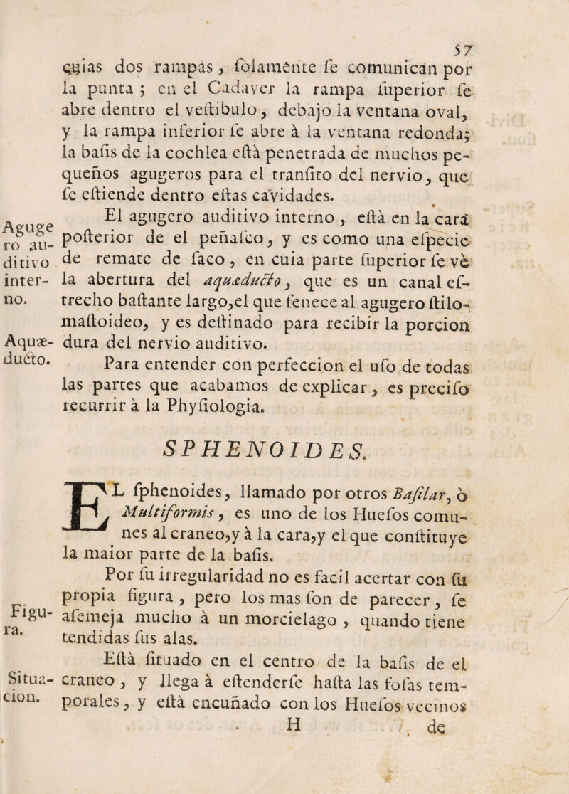 ro au¬ ditivo inter¬ no. Aquse- duéto. Figu¬ ra. Situa¬ ción. 57 cuias dos rampas , folamente fe comunican por la punta ; en el Cadáver la rampa íuperior fe abre dentro el vedibulo , debajo la ventana oval, y la rampa inferior fe abre á la ventana redonda; la bafis de la cochlea eftá penetrada de muchos pe¬ queños agugeros para el tranfito del nervio, que fe ediende dentro ellas cavidades. El agugero auditivo interno , eftá en la cari pofterior de el peñaíco, y es como una efpecie de remate de Taco , en cuia parte íuperior fe ve la abertura del aquxducío, que es un canal ef- treclio bailante largo,el que fenece al agugero ftilo- maftoideo, y es deftinado para recibir la porción dura del nervio auditivo. Para entender con perfección el ufo de todas las partes que acabamos de explicar, es precifo recurrir á la Phyíiologia. SP HENO ID ES. EL fphenoides, llamado por otros Bajilar, 6 Multiformis, es uno de los Huefos comu¬ nes al craneo?y á la cara?y el que conftituye la maior parte de la baíls. Por fu irregularidad no es fácil acertar con fu propia figura , pero los mas fon de parecer , fe afemeja mucho a un morcielago , quando tiene tendidas fus alas. Eftá fituado en el centro de la bafis de el cráneo , y llega á edenderfe hada las fofas tem¬ porales , y ella encuñado con los Hueíos vecinos H de
