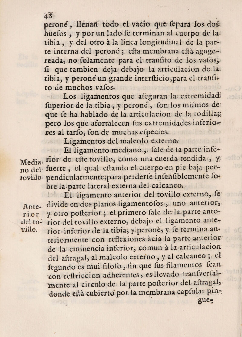 Media no del t ovillo Ante- rio i: del to¬ billo. peroné, llenan todo el vacio que fepará los dos huefos , y por un lado fe terminan al cuerpo de ia¿ tibia , y del otro ala linea longitudinal de la par¬ te interna del peroné; efta membrana eftá aguge- reada, no fulamente para el traníito de los vafos,* íi que también deja debajo la articulación de lai tibia, y peroné un grande interíticio,para el traníi^ to de muchos vafos. Los ligamentos que afeguran la extremidad fuperior de la tibia^ y peroné, fon los milmos de que fe ha hablado de la articulación de la rodilla^ pero los que afórralecen fus extremidades inferior- res al tarfo, fon de muchas efpecies. Ligamentos del maléolo externo. El ligamento medianolale de la parte infe» rior de eíie toviilo, como una cuerda tendida, J fuerte el qual citando el cuerpo en pie baja per¬ pendicularmente,para perderíe infeníiblemente lo* bre la parte lateral externa del calcáneo. El ligamento anterior del toviilo externo, fe divide en dos planos ligamentofos , uno anterior, y otro pofterior ; el primero fale de la parte ante¬ rior del toviilo externo, debajo el ligamento ante- nor-inferior de la tibia, y. perone, y le termina an¬ teriormente con reflexiones acia la parte anterior de la eminencia inferior, común a la articulación del aftragal, al maléolo externo, y al calcáneo ; el íegundo es mui fiiofo, fin que fus filamentos fean. con refiriccion adherentes, es llevado tranfverlafi- mente al circulo de la parte pofterior del aftragal, donde eftá cubierto por la membrana capfular pin¬ gue-