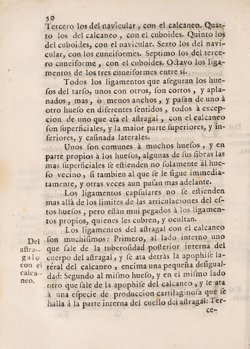 aftra-- gaio con e! calca-*- neo. 50 , Tercero los del n$vicutar, con el calcáneo, Qu% to los del calcáneo , con el cuboides. Quinto ios del cuboides, con el navicular» Sexto los del navi¬ cular, con los cuneiformes. Séptimo los del terce- ro cuneiforme , con el cuboides. Octavo los liga¬ mentos de los tres cuneiformes entre sí. Todos los ligamentos que afeguran los hue- fos del tarfo, unos con otros, fon cortos , y apla¬ nados , mas , ó menos anchos , y pafan de uno á otro huefo en diferentes íentidos , todos á excep¬ ción de uno que ata el aítragal , con el calcáneo fon fuperñciales, y la maior parte fuperiores, y in¬ feriores^ y cafuiada laterales. Unos fon comunes á muchos huefos , y en parte propios á los hueles, algunas de fus libras las mas fuperficiales fe eítienden no lelamente al hue¬ fo vecino , íi también al que fe le ligue immedia- lamente, y otras veces aun pafan mas adelante. Los ligamentos capfuiares no fe eítienden mas allá de los limites de las articulaciones del el¬ los huefos, pero citan mui pegados á los ligamen¬ tos propios, quienes les cubren, y ocultan. Los ligamentos del aítragal con el calcáneo fon muchiíimos: Primero, al lado interno uno que fale de la tuberoíidad polterior interna del cuerpo del aítragal 5 y fe ata detrás la apophife la¬ teral del calcáneo ? encima una pequeña deíiguaí- dad: Segundo al mifmo huefo, y en el mifmo lado otro que fale de la apophife del calcáneo , y íe ata a una efpecie de producción cartilagmofa que fe halla á la parte interna del cuello del aítragal: fer-