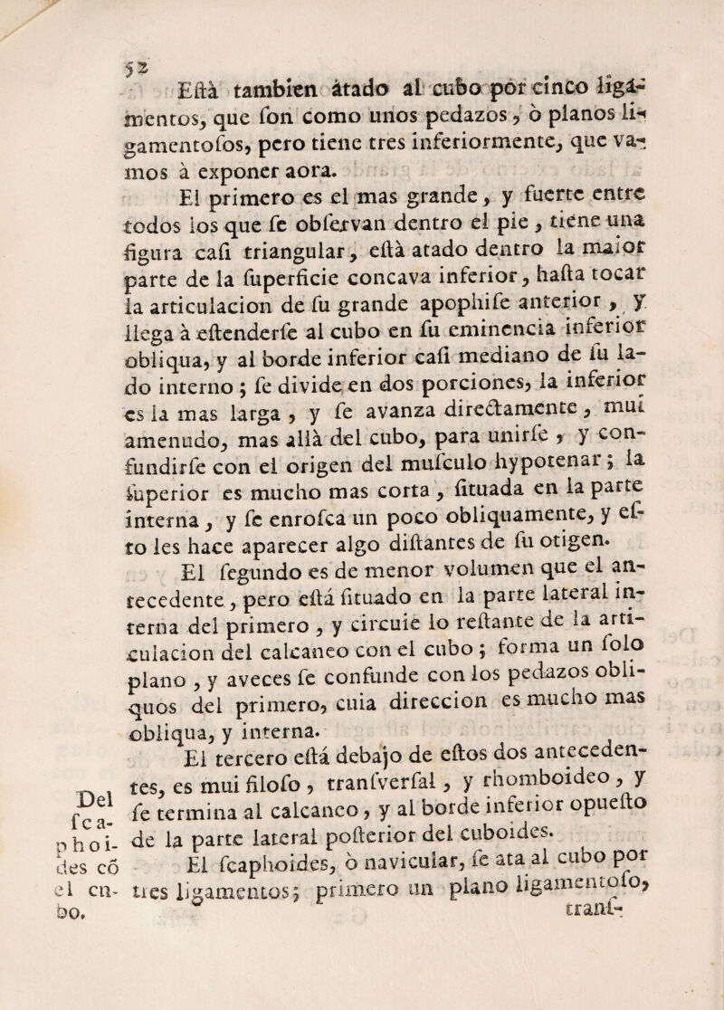 fe a- p h o i- des có el cu¬ bo. 52 Eftá también átado ál cubo por cinco liga¬ mentos, que fon como unos pedazos 9 ó planos li-< gamentofos, peto tiene tres inferiormente, que va-! mos á exponer aora. El primero es el mas grande, y fuerte entre todos ios que fe obfexvan dentro el pie , tiene una figura cafi triangular, eftá atado dentro la maior parte de la fuperficie cóncava inferior, hafta tocar la articulación de fu grande apophife anterior , y llega á eftenderfe al cubo en fu eminencia inferior obliqua, y ai borde inferior cali mediano de iu la¬ do interno ¿ fe divide en dos porciones, la inferior es la mas larga 5 y fe avanza directamente, mut amenudo, mas allá del cubo, para unirle 9 y con¬ fundir fe con el origen del mufculo hypotenar \ la faperior es mucho mas corta , íituada en la parte interna , y fe enrofea un poco obliquamente, y et to les hace aparecer algo diftantesde fu origen. El fegundo es de menor volumen que el an¬ tecedente, pero eftá íltuado en la parte lateral in¬ terna del primero , y circule lo reliante de la arti¬ culación del calcáneo con el cubo 9 forma un íolo plano , y aveces fe confunde con los pedazos obli- quos del primero, cuia dirección es mucho mas obliqua, y interna. El tercero eftá debajo de eftos dos anteceden- tes, es mui filofo , tranfverfal, y rhomboideo , y fe termina al calcáneo, y al borde inferior opueíto de la parte lateral pofterror del cuboides. El fcaphoides, 6 navicular, fe ata al cubo por tres ligamentos; primero un piano ligamento Oj v iraní-
