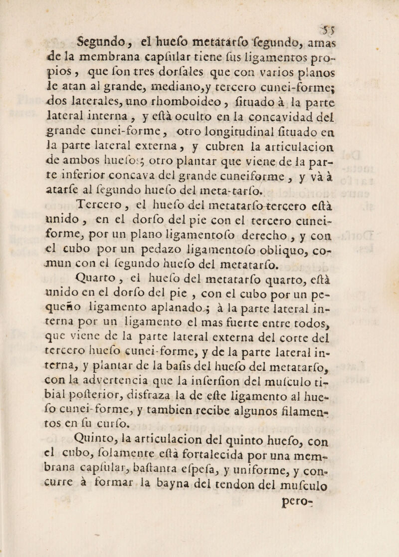 Segundo , el hueío metátárfo fegundo, amas de la membrana capínlar tiene fus ligamentos pro¬ pias , que fon tres doria les que con varios planos le atan al grande, mediano,y tercero cunei-forme; dos laterales, uno rhomboideo , íituado á la parte lateral interna, y eílá oculto en la concavidad del grande cune i-forme, otro longitudinal íituado en Ja parte lateral externa, y cubren la articulación de ambos huefo^ otro plantar que viene de la par¬ re interior cóncava del grande cuneiforme , y va á atarfe al fegundo huelo del meta-tarfo. Tercero , el huelo del ínetatarfo tercero cita unido , en el dorfo del pie con el tercero cunei¬ forme, por un plano ligamentofo derecho , y con el cubo por un pedazo ligamentofo obiiquo, co- jmun con el fegundo huefo del metatarfo. Quarto , el huefo del metatarfo quarto, eílá unido en el dorfo del pie , con el cubo por un pe¬ queño ligamento aplanado^ á la parte lateral in¬ terna por un ligamento el mas fuerte entre todos, que viene de la parte lateral externa del corte del tercero huefo cunei-forme, y de la parte lateral in¬ terna, y plantar de la bafis del huefo del metatarfo, con la advertencia que la inferíion del muícuio ti¬ bial poílerior, disfraza la de efte ligamento al hue¬ fo cunei forme, y también recibe algunos filamen¬ tos en fu curio. Quinto, la articulación del quinto huefo, con el cubo, folamente eílá fortalecida por una mem¬ brana capíiilar, baílanra efpefa, y uniforme, y com curre á formar la bayna del tendón del mufeulo pero-