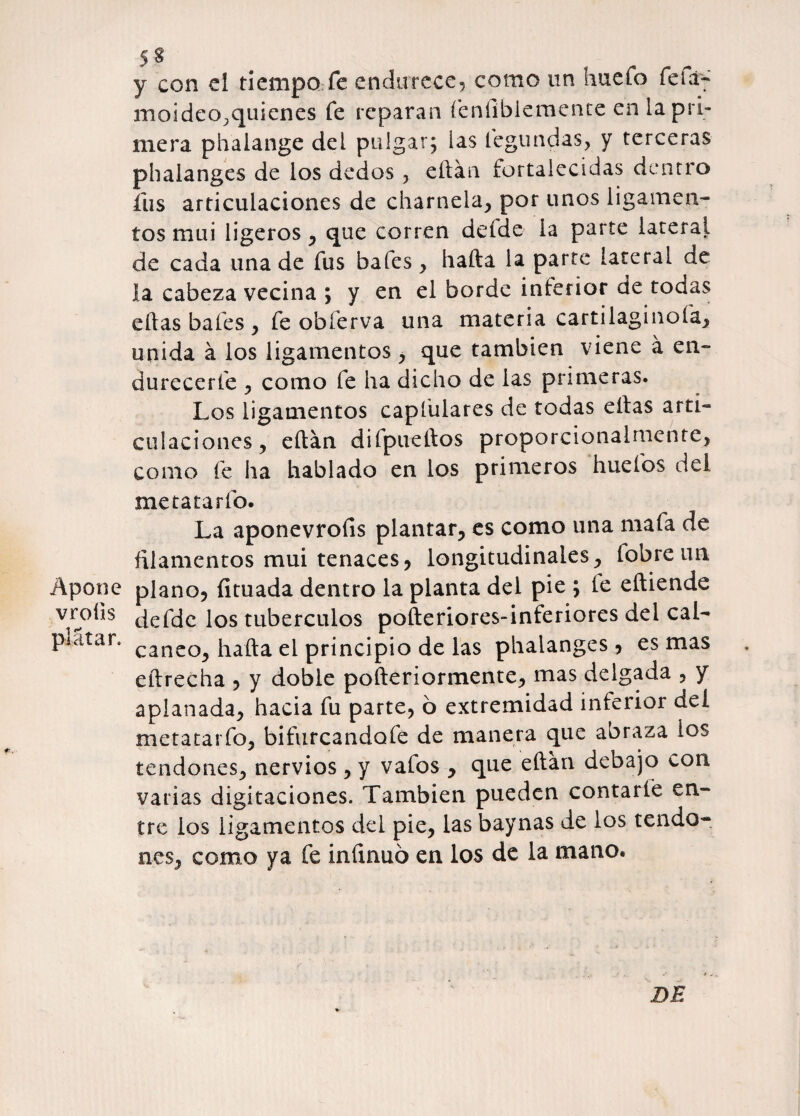 5 § y con el tiempo fe endurece, como un huefo fefdrf moideo^quienes fe reparan fenfiblemenre en ia pri¬ mera phaiange del pulgar; las legundas, y terceras phalanges de los dedos, eílán fortalecidas dentro fus articulaciones de charnela, por unos ligamen¬ tos mui ligeros , que corren deíde la parte lateral de cada una de fus bafes, hafta ia parte lateral ae la cabeza vecina ; y en el borde interior de todas ellas bales , fe obferva una materia cartilaginofa, unida á los ligamentos, que también viene á en¬ durecerle , como fe ha dicho de las primeras. Los ligamentos capiulares de todas ellas arti¬ culaciones, eítán difpueilos proporcionalniente, como fe ha hablado en los primeros hueíos del me tararlo. La aponevrofis plantar, es como una mafa de filamentos mui tenaces, longitudinales, fobreun Apone plano, limada dentro la planta del pie ; fe eíiiende vroüs defde los tubérculos poíteriores-inferiores del cal- picttar. caneo^ el principio de las phalanges, es mas eílrecha , y doble poíleriormente, mas delgada , y aplanada, hacia fu parte, 6 extremidad inferior del metatarfo, bifurcandofe de manera que abraza los tendones, nervios , y vafos , que eílan debajo con varias digitaciones. También pueden contarle en¬ tre los ligamentos del pie, las baynas de los tendo¬ nes, como ya fe iníinuó en los de la mano. DE