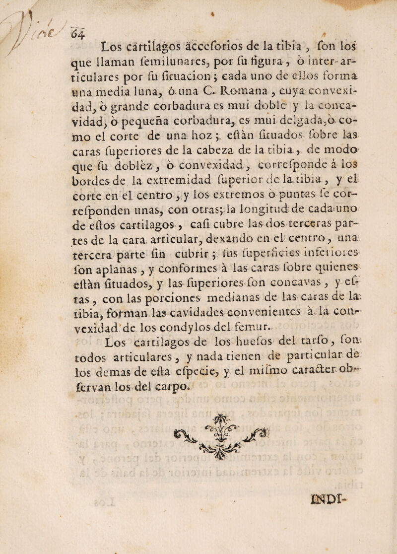 % * / A £' Los cartílagos ácceforios de la tibia , fon los que llaman femilunares, por fu figura , ó Ínter-ar¬ ticulares por fu fituacion ; cada uno de ellos forma, una media luna, ó una C. Romana, cuya convexi¬ dad, ó grande corbadura.es mui doble y la conca¬ vidad, ó pequeña cornadura, es mui delgada,©» co- Uio el corte de una hoz ; eftán fituados Cobre las caras fup.erior.es de la cabeza de la tibia , de modo que fu doblez, ó convexidad, correfponde á los bordes de la extremidad fuperior de la tibia , y el corte en el centro, y los extremos ó puntas fe cor- refponden unas, con otras; la longitud de cadamno de ellos cartílagos , cafi cubre las dos terceras par¬ tes de la cara articular, dexando en el centro, una tercera parte fin cubrir ; fus fuperficies inferiores- fon apianas, y conformes á las caras Cobre quienes citan fituados, y las fuperiores fon cóncavas, y efi tas, con las porciones medianas de las caras de la. tibia, forman las cavidades convenientes á la coiv* vexidad de los condylos del ...fémur- Los cartílagos de los huefos del tarfo, fon. todos articulares , y nada tienen de particular de los demas de efia efpecie, y el miimo caradterob*» fexvan los del carpo.