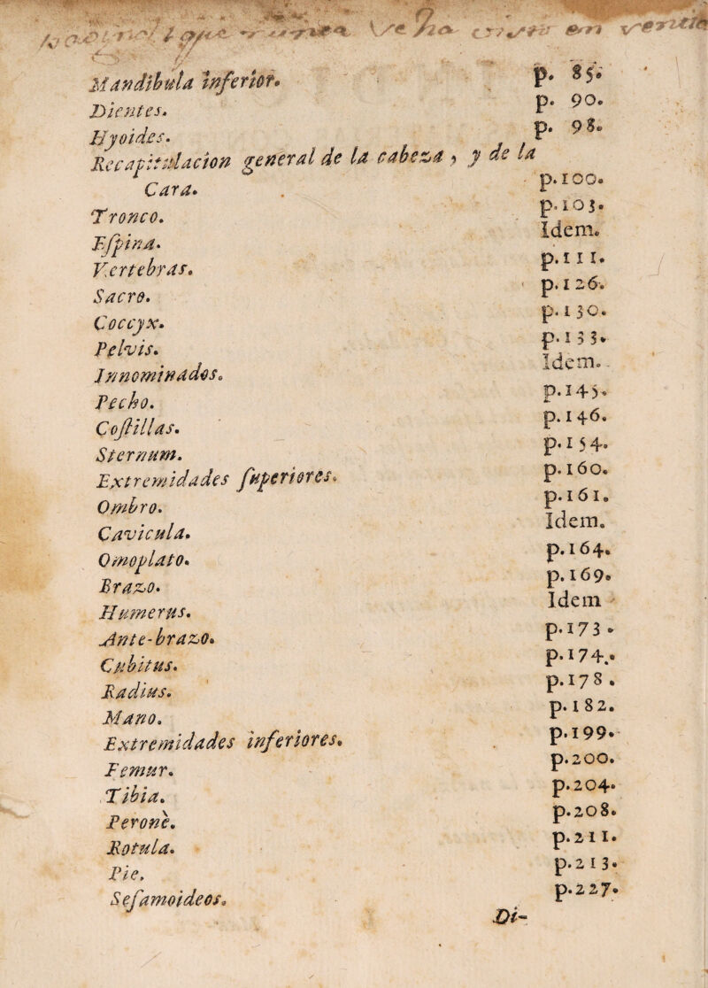 '•. . p. 85. Mandíbula inferior. Mientes» P* ^°* Hy oídos. P* 9 Recapitulación general de la cabeza y y de ,a 1 „ „ p.ioo. 6¿r¿. . ¿ p. 1 o 3 • Tr¿?/z¿*0. i 3 . ídem. Ejpina. Vertebras• Sacre. p.i 1 r p.126 Coccyx. Pelvis. Innominados. p. 130. p.l 3 3* Idem. - Pecho. C o(lillas. Sternum. Extremidades fttfm&res. Ombro. Cavienta. Omoplato» Era zo» Humeras. Ente-brazo. Cti bit us. Radias. Mano. Extremidades inferiores. Fémur. p.145* p. 146. p.l $4. p. IóO* p.i 61, Idem. p. 164. p. 169® Idem p.173 - p.i74.« p. 17 8 . p. I 82. p* 199* p. 200» , T ibia. Perone. Rotula. Pie. Sefamolde os. p.204e p.208. p.2 1 I. p. 2 I 3 * p.2 27*