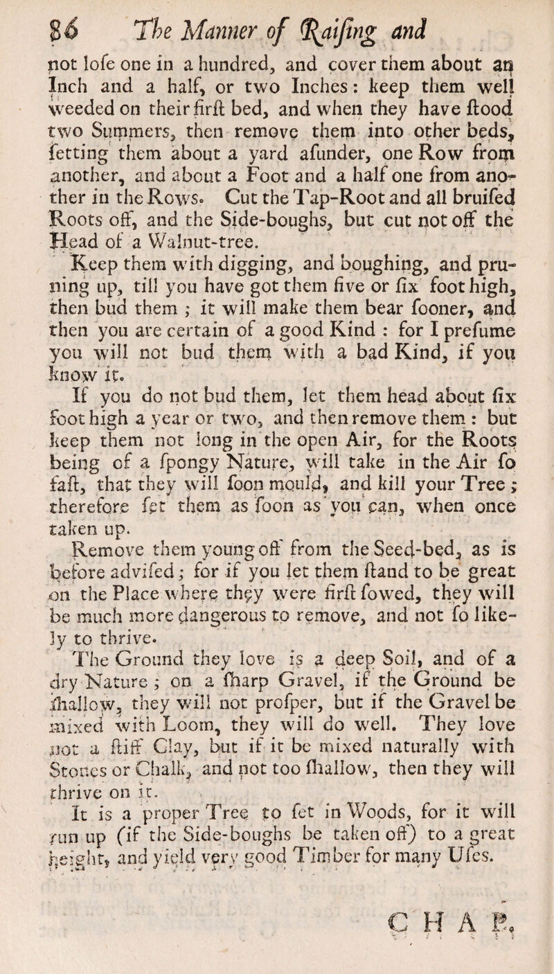 not lofe one in a hundred, and cover them about at| Inch and a half* or two Inches: keep them well weeded on their firfl bed, and when they have flood two Summers, then remove them into other beds, letting them about a yard afunder, one Row frorji another, and about a Foot and a half one from ano¬ ther in the Rows. Cut the Tap-Root and all bruifed Roots off, and the Side-boughs, but cut not off the Head of a Walnut-tree. Keep them with digging, and boughing, and pru¬ ning up, till you have got them five or fix foot high, then bud them ,* it will make them bear fooner, and then you are certain of a good Kind : for I prefume you will not bud them with a bad Kind, if you know it. If you do not bud them, let them head about fix foot high a year or two, and then remove them : but keep them not long in the open Air, for the Roots being of a fpongy Nature, will take in the Air fo fail, that they will foon mould* and kill your Tree ; therefore fet them as foon as'voucan, wrhen once taken up. Remove them young off'from the Seed-bed, as is before advifed; for if you let them (land to be great on the Place where they were firfl fowed, they will be much more dangerous to remove, and not fo like¬ ly to thrive. The Ground they love is a deep Soil, and of a dry Nature ; on a fharp Gravel, if the Ground be ihallcw, they will not profper, but if the Gravel be mixed with Loom, they will do well. They love not a ft iff Gay, but if it be mixed naturally with Stones or Chalk, and not too (hallow, then they will thrive on it. It is a proper Tree to fet in Woods, for it will run up (if the Side-boughs be taken off) to a great heights and yield very good Timber for many Ufes. C H A f,,