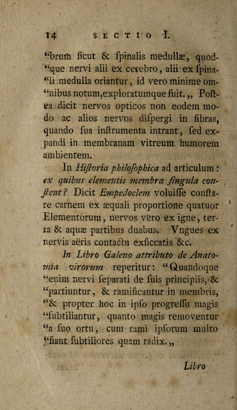 “brum ficut & fpinalis medullae, quod¬ que nervi alii ex cerebro, alii ex fpina- “li medulla oriantur, id vero minime om¬ inibus notum,exploratumque fuit. „ Poft- ea dicit nervos opticos non eodem mo¬ do ac alios nervos difpergi in libras, quando fua inftrumenta intrant, fed ex¬ pandi in membranam vitreum humorem ambientem. In Hifioria philofophica ad articulum: ex quibus elementis membra jingula con¬ fient ? Dicit Empedoclem voluifie confla¬ re carnem ex squali proportione quatuor Elementorum, nervos vero ex igne, ter¬ ra & aqus partibus duabus. Vngues ex nervis aeris contactu exficcatis &c. In Libro Galeno attributo de Anato- mia virorum repetitur: “ Quandoque “enini nervi feparati de fuis principiis,•& “partiuntur, & ramificantur in membris, “& propter hoc in ipfo progreffu magis “fubtiliantur, quanto magis removentur “a fuo ortu, cum rami ipforum multo “fiant fubtiliores quam radix. „ Libro