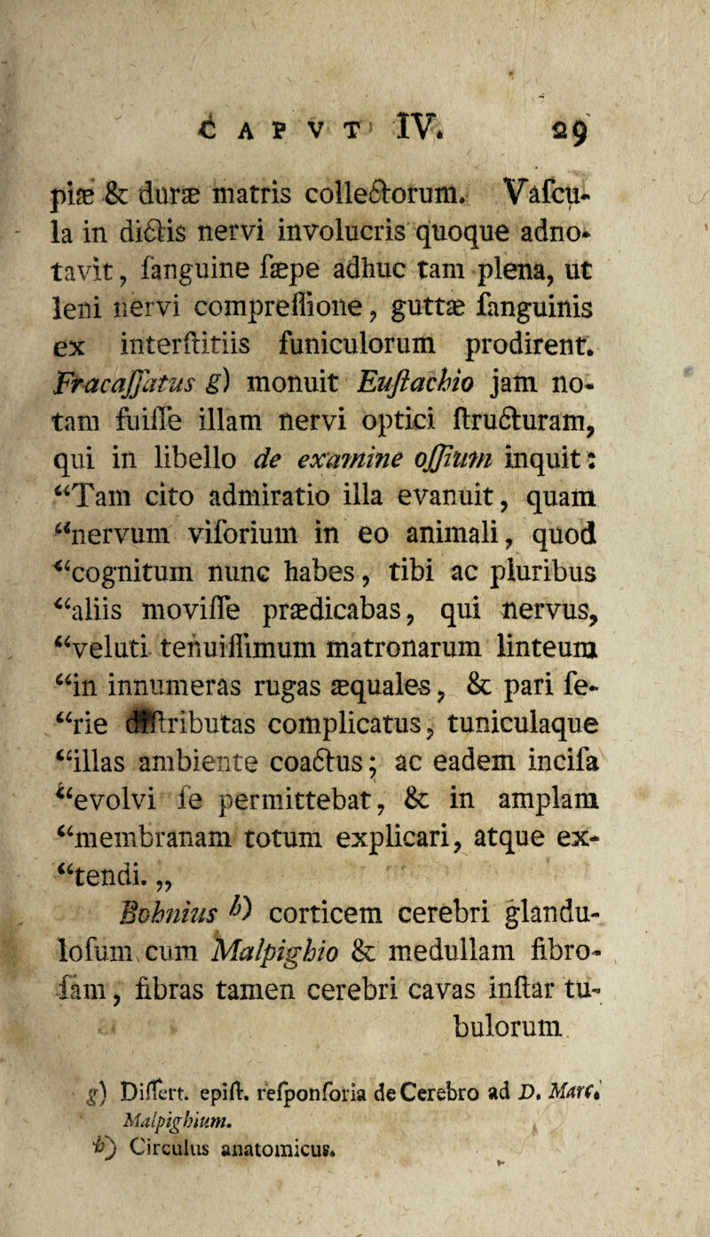 pis & dura matris colledorum. Vafcu- la in didis nervi involucris quoque adno* tavit, fanguine fepe adhuc tam plena, ut leni nervi compreffione, gutta? fanguinis ex interftitiis funiculorum prodirent. Fracajjlitus g) monuit Euftachio jam no¬ tam Mile illam nervi optici ftruduram, qui in libello de examine ojjinm inquit: “Tam cito admiratio illa evanuit, quam “nervum viforium in eo animali, quod ■“cognitum nunc habes, tibi ac pluribus “aliis moviffe praedicabas, qui nervus, “veluti tenuiflimum matronarum linteum “in innumeras rugas squales, & pari fe- “rie dfftributas complicatus, tuniculaque “illas ambiente coadus; ac eadem incifa “evolvi fe permittebat, & in amplam “membranam totum explicari, atque ex- “tendi. „ Bohnms !>) corticem cerebri glandu- lofuin cura Malpighio & medullam fibro- fani, fibras tamen cerebri cavas inftar tu¬ bulorum g) Differt, epift. refponforia de Cerebro ad D. Mar(, Malpighium. 'b) Circulus anatomicus*