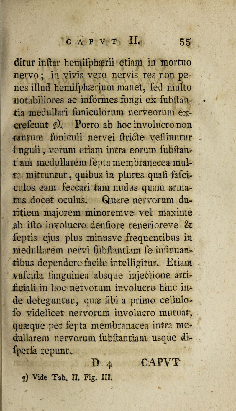 ditur inftar hemifphaerii etiam in mortuo nervo; in vivis vero nervis res non pe¬ nes illud hemifphasrium manet, fed multo notabiliores ac informes fungi ex fubftan- • tia medullari funiculorum nerveorum ex- crefcunt <?). Porro ab hoc involucro non •tantum funiculi nervei ftricte veftiuntur 1 nguli, verum etiam intra eorum fubftan- t am medullarem fepta membranacea mul¬ ta mittuntur, quibus in plures quali fafci- cvlos eam feecari tam nudus quam arma¬ ta s docet oculus, Quare nervorum du¬ ritiem majorem minorem ve vel maxime ab illo involucro denfiore tenerioreve & feptis ejus plus minusve frequentibus in medullarem nervi fubftantiam fe infinuan- tibus dependere facile intelligitur. Etiam vaicula fanguinea absque injectione arti¬ ficiali in hoc nervorum involucro hinc in¬ de deteguntur, quae labi a primo eeliulo- fo videlicet nervorum involucro mutuat, quaeque per fepta membranacea intra me¬ dullarem nervorum fubftantiam usque di- fperfa repunt., ■ r B 4 CAPVT
