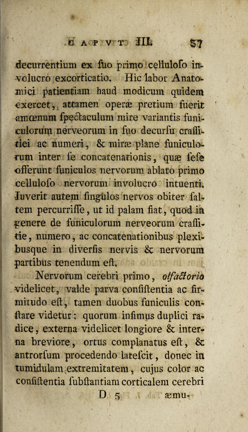 decurrentium ex ftio primo cellulofo in¬ volucro excorticatio. Hic labor Anato¬ mici patientiam haud modicum quidem exercet, attamen operas pretium fuerit amoenum fpeclaculum mire variantis funi¬ culorum nerveorum in fuo decurfu crafli- tiei ac numeri, & mirae plane funiculo¬ rum inter fe concatenationis, quae fefe offerunt funiculos nervorum ablato primo cellulofo nervorum involucro intuenti. Juverit autem Angulos nervos obiter fal- tem percurriffe, ut id palam fiat, quod in genere de funiculorum nerveorum crafli- tie, numero, ac concatenationibus plexi¬ busque in diverfis nervis & nervorum partibus tenendum eft, Nervorum cerebri primo, olfattoria videlicet, valde parva confidentia ac fir¬ mitudo eft, tamen duobus funiculis con¬ flare videtur; quorum infimus duplici ra¬ dice , externa videlicet longiore & inter¬ na breviore, ortus complanatus eft, & antrorfum procedendo latelcit, donec in tumidulam extremitatem, cujus color ac confidentia fubftantianr corticalem cerebri D 5 asmu-