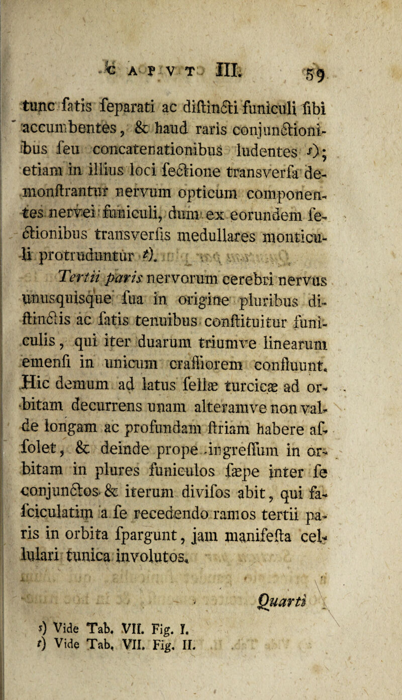 tunc fatis feparati ac diftincri funiculi libi accumbentes, & haud raris conjunctioni¬ bus feu concatenationibus ludentes -0; etiam in illius loci lectione transverfa de- monftrantui nervum opticum componen¬ tes nervei funiculi, dum ex eorundem le¬ ctionibus transverfls medullares monticu- -U protruduntur *), ■ ■ . .v Tertii paris nervorum cerebri nervus unusquisque fua in origine pluribus di- ftinciis ac fatis tenuibus conftituitur funi¬ culis , qui iter duarum trium ve linearunt emenfi in unicum crafliorem confluunt. Hic demum ad latus fellas turcica: ad or¬ bitam decurrens unam alteramve non val¬ de longam ac profundam ftriam habere af- folet, & deinde prope -in greffum in or¬ bitam in plures funiculos laepe inter fe conjunctos- & iterum divifos abit, qui fa- fciculatixn a fe recedendo ramos tertii pa¬ ris in orbita fpargunt, jam manifefta cel¬ lulari tunica involutos. 0 Vide Tab, VII. Fig. I.