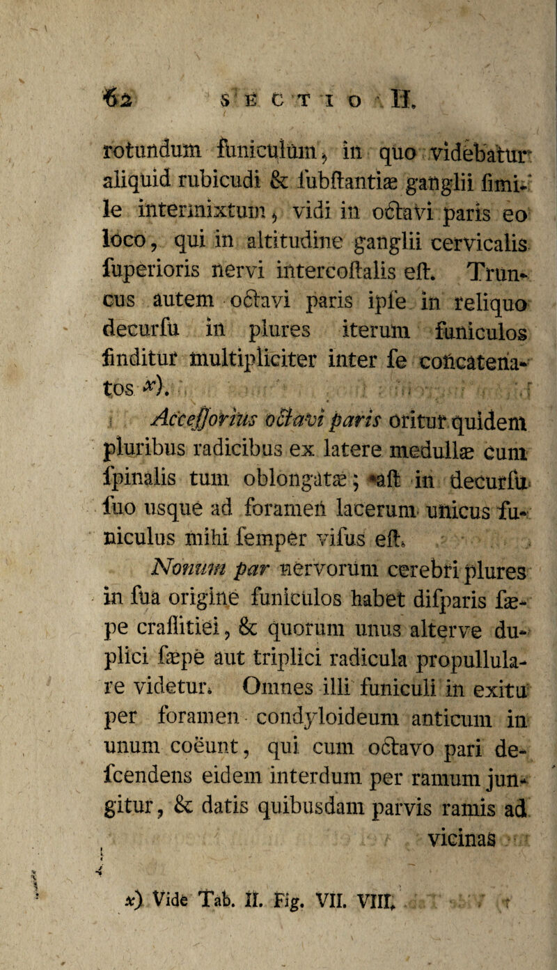 rotundum funiculum, in quo videbatur aliquid rubicudi & iubftantfe ganglii fimi, le intermixtum, vidi in octavi paris eo loco, qui in altitudine ganglii cervicalis fuperioris nervi intercoftalis eft. Trun¬ cus autem odtavi paris ipfe in reliquo decurfu in plures iterum funiculos finditur multipliciter inter fe coficateria- tos ■■*•). ■ Accejjorius octavi paris oritur quidem pluribus radicibus ex latere medullas cum lpinalis tum oblongate; *aft in decurfu luo usque ad foramen lacerum unicus fu¬ niculus mihi femper vifus eft» Nonum par nervorum cerebri plures in fua origine funiculos habet difparis fe- pe craflitiei, & quorum unus alterve du¬ plici fepe aut triplici radicula propullula- re videtur» Omnes illi funiculi in exitu per foramen condjdoideum anticum in unum coeunt, qui cum octavo pari de- fcendens eidem interdum per ramum jun¬ gitur , & datis quibusdam parvis ramis ad ; vicinas I V « f §