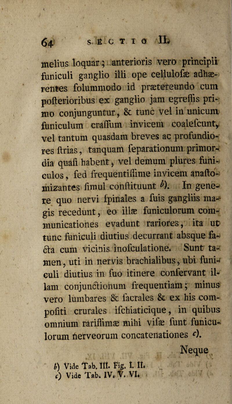 melius loquar; anterioris vero principii funiculi ganglio illi ope cellulofac adhae¬ rentes folummodo id praetereundo cum pofterioribus ex ganglio jam egreffis pri¬ mo conjunguntur, & tunc vel in unicum funiculum craffum invicem coalefcunt, vel tantum quasdam breves ac profundio¬ res ftrias, tanquam feparationum primor¬ dia quali habent, vel demum plures funi¬ culos , fed frequentiffime invicem anafto- mizantes fimul coiiftituunt ^). In gene¬ re quo nervi fpinales a fuis gangliis ma¬ gis recedunt, eo ilis funiculorum com¬ municationes evadunt rariores, ita ut tunc funiculi diutius decurrant absque fa* 6!a cum vicinis inolculatione. Sunt ta¬ men , uti in nervis brachialibus, ubi funi¬ culi diutius in fuo itinere confervant il¬ lam conjunctionum frequentiam; minus vero lumbares & facrales & ex his com- pofiti crurales ifchiaticique, in quibus omnium rariflimm mihi vife funt funicu¬ lorum hetveorum concatenationes c). Neque b) Vide Tab. 111. fig. I. II. „