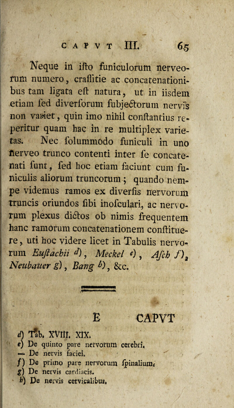 Neque in i flo funiculorum nerveo- rum numero, craflitie ac concatenationi¬ bus tam ligata eft natura, ut in iisdem etiam fed diverformn fubjedlorum nervfs non variet, quin imo nihil conftantius re¬ petitur quam hac in re multiplex varie¬ tas. Nec folummodo funiculi in uno flerveo trunco contenti inter fe concate¬ nati funt, fed hoc etiam faciunt cum fu¬ niculis aliorum truncorum; quando nem¬ pe videmus ramos ex diverfis nervorum truncis oriundos fibi inofculari, ac nervo- rum plexus diftos ob nimis frequentem hanc ramorum concatenationem conflitue- i: re, uti hoc videre licet in Tabulis nervo- 1 rum Euftacbii ‘!), Meckel «), AJch f)i Neubauer g), Bang b) y &c. E CAPVT d) T&. XVIII. XIX. e) De quinto pare nervorum cerebri, — De nervis faciei» /) De primo pare nervorum ipinalium* S) De nervis cardiacis, fr) De nervis cervicalibus.