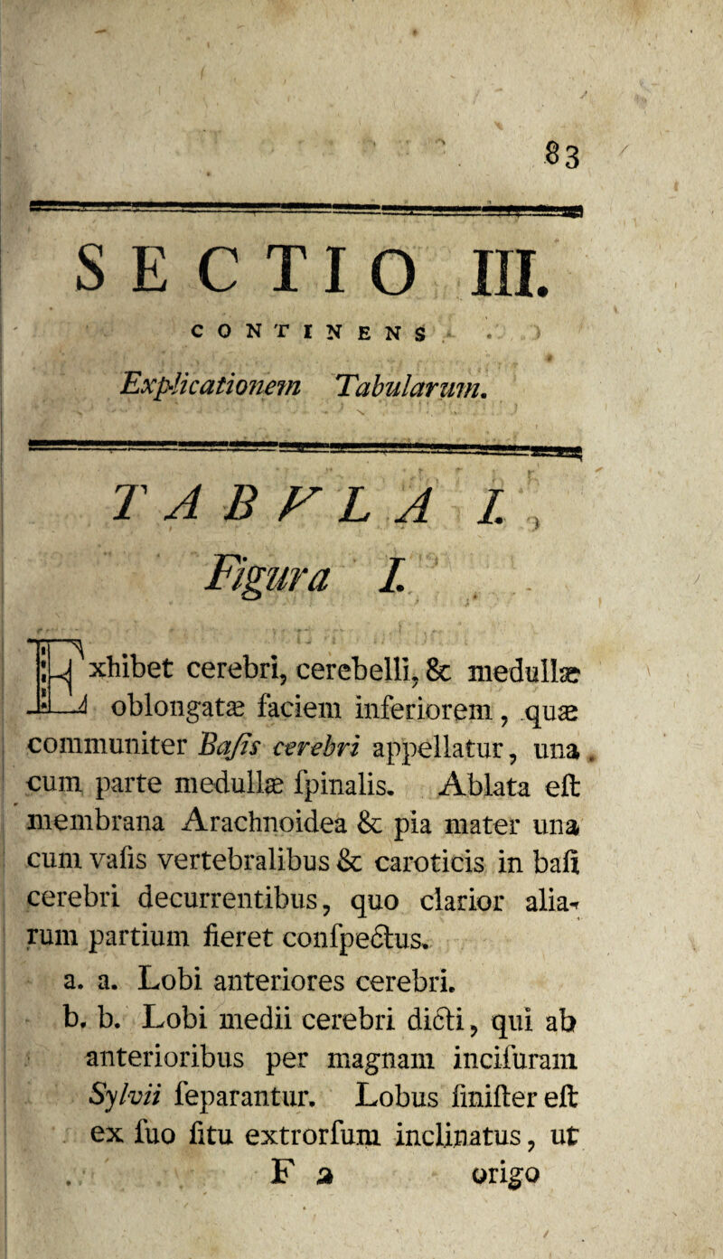 SECTIO III. continens > 1 * , . . *> «- V • s Hb''* ja j-  '0 Exp-licationem Tabularum. T AB FLA I I. 1 ;U xhibet cerebri, cerebelli, & medulla; h oblongate faciem inferiorem, qiue communiter Bajis cerebri appellatur, una cum parte medullae fpinalis. Ablata eft r membrana Arachnoidea & pia mater una cum vafis vertebralibus & caroticis in bali cerebri decurrentibus, quo clarior alia-* rum partium fieret confpectus. a. a. Lobi anteriores cerebri. b. b. Lobi medii cerebri didti, qui ab anterioribus per magnam incifuram Sylvii feparantur. Lobus finiftereft ex fuo fitu extrorfum inclinatus, ut F a origo