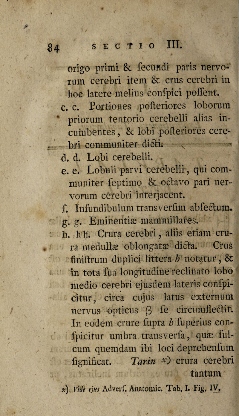 origo primi 8c fecundi paris nervo¬ rum cerebri item & crus cerebri in hoc latere melius confpici poffent. c. c. Portiones pofteriores loborum priorum tentorio cerebelli alias in¬ cumbentes , & lobi pofteriores cere¬ bri communiter dicti. ■.-< d. d. Lobi cerebelli. e. e. Lobuli parvi cerebelliqui com¬ muniter feptimo & octavo pari ner¬ vorum cerebri interjacent. f. infundibulum transverfim abfectum. g. g. Eminentiae mammillares. h. h h. Crura cerebri, aliis etiam cru¬ ra medullae oblongata; difta. Crus finiftrum duplici littera h notatur, & in tota fua longitudine reclinato lobo medio cerebri ejusdem lateris confpi- * “ * , citur, circa cujus latus externum nervus opticus 3 fe circi miilectit. In eodem crure fupra h luperius con¬ fpi citur umbra transverfa, qua; ful- cum quemdam ibi loci deprehenfum fignificat. Tarin x) crura cerebri tantum