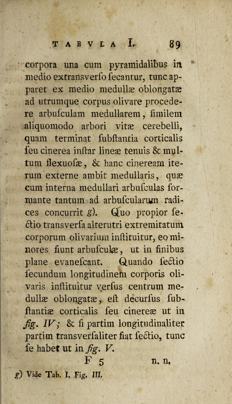 corpora una cum pyramidalibus in. medio extransverfo fecantur, tunc ap¬ paret ex medio medulla; oblongata; ad utrumque corpus olivare procede¬ re arbuiculam medullarem, iimileni aliquomodo arbori vitae cerebelli, quam terminat lubftanda corticalis feu cinerea inftar linea; tenuis & mul¬ tum ilexuofae, & hanc cineream ite¬ rum externe ambit medullaris, qua; cum interna medullari arbufculas for¬ mante tantum ad arbufcularum radi¬ ces concurrit g). Quo propior fe¬ ctio trans verfa alterutri extremitatum corporum olivarium inftituitur, eo mi¬ nores fiunt arbufculae, ut in finibus plane evanefcant. Quando fectio fecundum longitudinem corporis oli¬ varis inftituitur verfus centrum me¬ dullae oblongata;, eft decurfus fub- ftantiae corticalis feu cinerea; ut in fe- iv; & fi partim longitudinaliter partim transverfaliter fiat fectio, tunc fe habet ut in fig. V. F 5 n. n,
