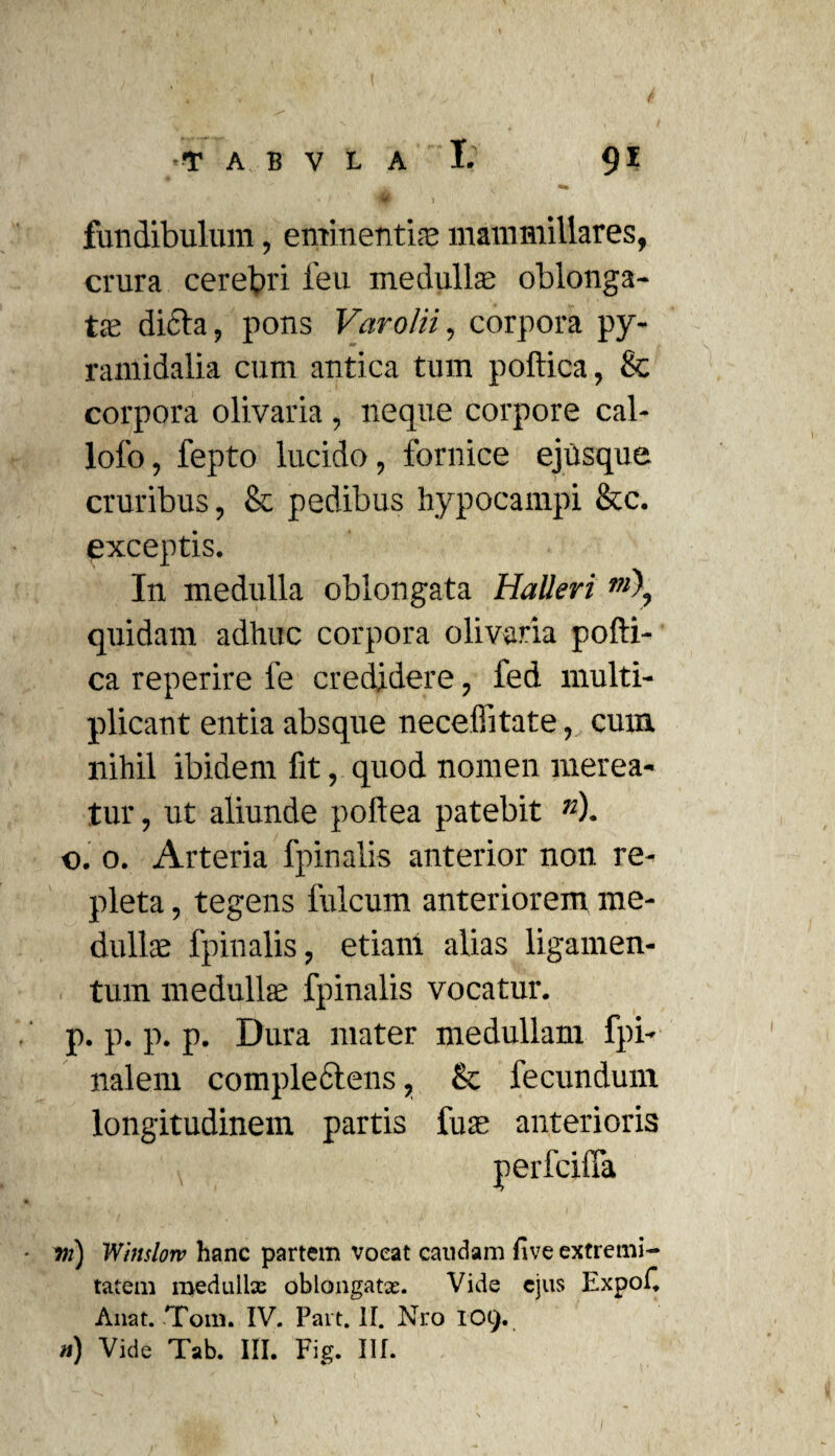 I fundibulum, eminentia; mammillares, crura cerebri feu medullae oblonga¬ te dicta, pons Varo/ii, corpora py¬ ramidalia cum antica tum poftica, & corpora olivaria , neque corpore cal- lofo, fepto lucido, fornice ejiisque cruribus, & pedibus hypocampi &c. exceptis. In medulla oblongata Halleri m\ quidam adhuc corpora olivaria pofti¬ ca reperire fe credidere, fed multi¬ plicant entia absque neceffitate, cum nihil ibidem fit, quod nomen merea¬ tur, ut aliunde poftea patebit n). ©. o. Arteria fpinalis anterior non re¬ pleta , tegens fulcum anteriorem me¬ dullae fpinalis, etiani alias ligamen¬ tum medulla; fpinalis vocatur, p. p. p. p. Dura mater medullam fpi- nalem complectens, & fecundum longitudinem partis fuae anterioris perfcilfa vi) Winslorv hanc partem vocat caudam fi ve extremi¬ tatem medulla: oblongate. Vide ejus Expol. Anat. Tom. IV. Part. II. Nro 109.