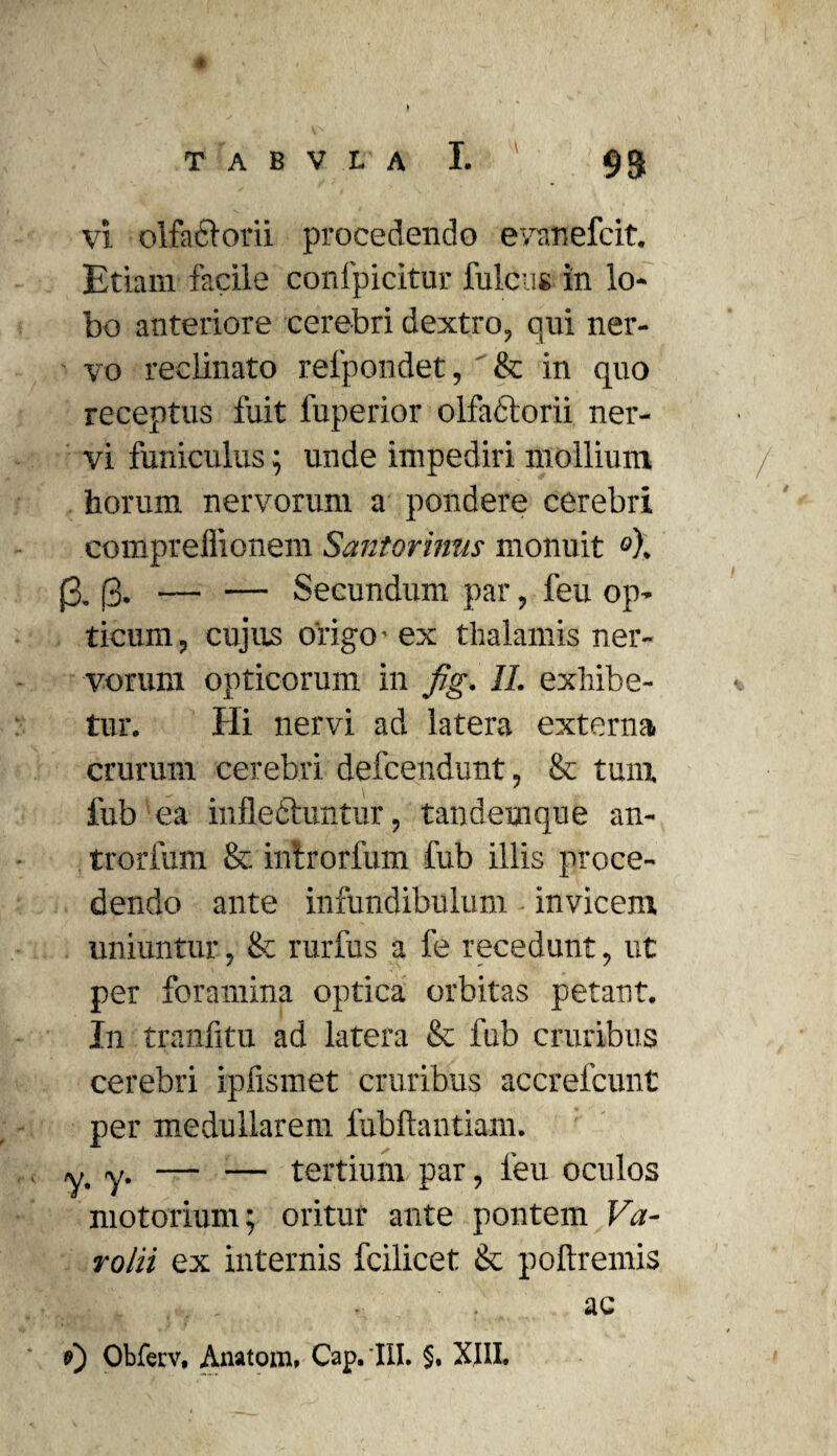 vi olfactorii procedendo evanefcit. Etiam facile conlpicitur fulcus in lo¬ bo anteriore cerebri dextro, qui ner¬ vo reclinato relpondet, & in quo receptus fuit fuperior olfactorii ner¬ vi funiculus; unde impediri mollium horum nervorum a pondere cerebri compreffionem Santorinus monuit j3. (3. — — Secundum par, feu op¬ ticum, cujus origo-ex thalamis ner¬ vorum opticorum in fig. II. exhibe¬ tur. Hi nervi ad latera externa crurum cerebri defcendunt, & tum fub ea inflectuntur, tandemque an- trorfum & introrfum fub illis proce¬ dendo ante infundibulum invicem uniuntur, & rurfus a fe recedunt, ut per foramina optica orbitas petant. In tranfitu ad latera & fub cruribus cerebri ipfismet cruribus accrelcunt per medullarem fubftantiam. j' y. — — tertium par, feu oculos motorium; oritur ante pontem Va- volii ex internis fcilicet & poftremis . ac f>) Obfeiv. Anatom. Cap. III. §, XJ1I.