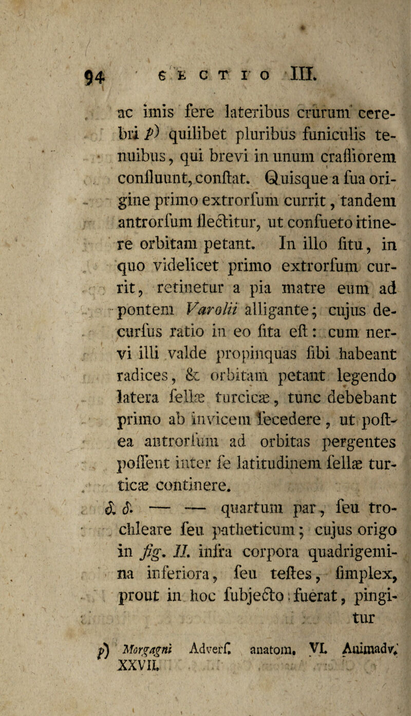 ac imis fere lateribus crurum cere¬ bri p) quilibet pluribus funiculis te¬ nuibus , qui brevi in unum crafliorem confluunt, conflat. Quisque a fua ori¬ gine primo extrorfum currit, tandem antrorfum flectitur, ut confueto itine¬ re orbitam petant. In illo fitu, in quo videlicet primo extrorfum cur¬ rit, retinetur a pia matre eum ad pontem Varolii alligante; cujus de- curfus ratio in eo flta efl: cum ner¬ vi illi valde propinquas fibi habeant radices, & orbitam petant legendo latera felire turcicae, tunc debebant primo ab invicem lecedere , ut poft- ea antrorfum ad orbitas pergentes poffent inter fe latitudinem fellae tur- ticae continere. & & — — quartum par, feu tro¬ chleare feu patheticum; cujus origo in flg. JL infra corpora quadrigemi¬ na inferiora, feu tefles, funplex, prout in hoc fubjecto fuerat, pingi¬ tur p) Morgagni Adverf. anatoni, VL Auimadv; XXVIL
