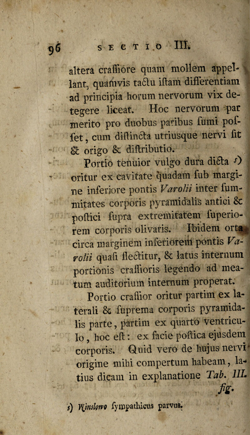 altera craffiore quam mollem appel- v lanty quamvis tactu illam differentiam ad principia horum nervorum vix de¬ tegere liceat. Hoc nervorum par merito pro duobus paribus fumi pof- fet, cum di (Uncta utriusque nervi fit gc origo & diliributio. Portio tenuior vulgo dura di6ta 0 oritur ex cavitate quadam fub margi- : ne inferiore pontis Varolii inter fum- mitates corporis pyramidalis antici 8c pollici fupra extremitatem fuperio- rem corporis olivaris. Ibidem orta^ circa marginem inferiorem pontis Va¬ rolii quali flectitur, & latus internum portionis craflioris legendo ad mea¬ tum auditorium internum properat. . Portio cralfior oritur partim ex la¬ terali & fuprema corporis pyramida¬ lis parte, partim ex quarto ventricu¬ lo , hoc eft: ex facie poftica ejusdem corporis. Quid vero de hujus nervii origine mihi compertum habeam, la¬ tius dicam in explanatione Tab. 1IL ' fis- ■ 3 —V*M- * ■ /y 9 ‘4 s) Vijmlgrvo fyuipatbicus parvus.