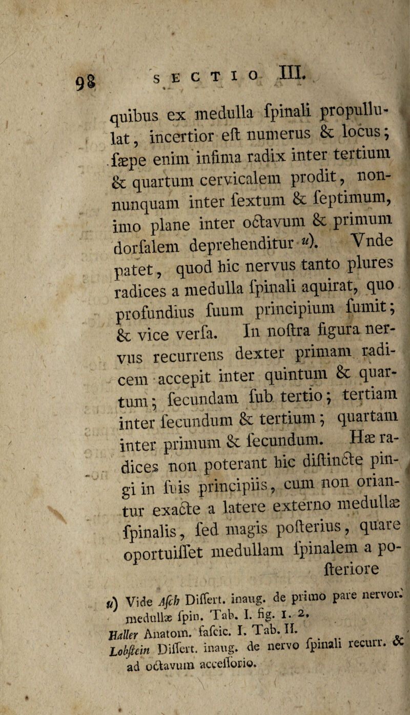 quibus ex medulla fpinali propullu- , lat, incertior eft numerus & locus; fcEpc enim infima radix inter tertium & quartum cervicalem prodit, non- nunquam inter fextum & leptimum, imo plane inter octavum & primum dorfalem deprehenditur »0. Vnde patet, quod hic nervus tanto plures radices a medulla fpinali aquirat, quo profundius fuum principium fumit; & vice verfa. In noftra figura ner¬ vus recurrens dexter primam radi¬ cem accepit inter quintum & quar¬ tum i, fecundam fub tertio, tertiam inter fecundum & tertium; quartam inter primum Sc fecundum. Hae ra¬ dices non poterant hic didiucte pin¬ gi in fuis principiis, cum non orian¬ tur exacte a latere externo medullae fpinalis, led magis pofterius, quare oportuiffet medullam lpinalem a po- fteriore u) Vide Afch Differt, inaug. de primo pare nervoi. ■ medullae fpin. Tab. I. fig. X. 2> Baller Anatoni. lafcic. I. Tab. II. Ubfiein Differt, inaug. de nervo fpinali recun. 0. ad octavum aceellorio.