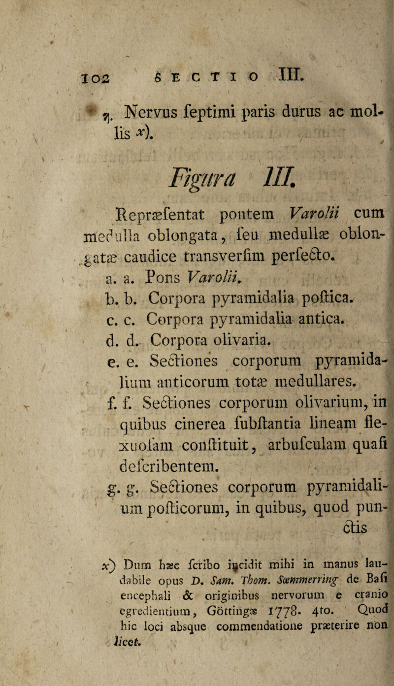 - Nervus feptimi paris durus ac mol¬ lis ■*•). III. Reprcefentat pontem Varo/ii cum medulla oblongata, leu medulla; oblon¬ gata; caudice transverfim perfecto. a. a. Pons Varolii. b. b. Corpora pyramidalia poftica. c. c. Corpora pyramidalia antica. d. d. Corpora olivaria. e. e. Sectiones corporum pyramida¬ lium anticorum tota; medullares. f. f. Sectiones corporum olivarium, in quibus cinerea fubftantia lineam fle- xuolam condituit, arbufculam quafi defcribentem. g. g. Sectiones corporum pyramidali¬ um podicorum, in quibus, quod pun¬ ctis x) Dum ha?c ferito incidit mihi in manus lau¬ dabile opus D. Sam. Thom. Smimerring de Bafi encephali & originibus nervorum e cranio egrediendum, Gottingas 1778- 4t0* Quod hic loci absque commendatione praeterire non licet